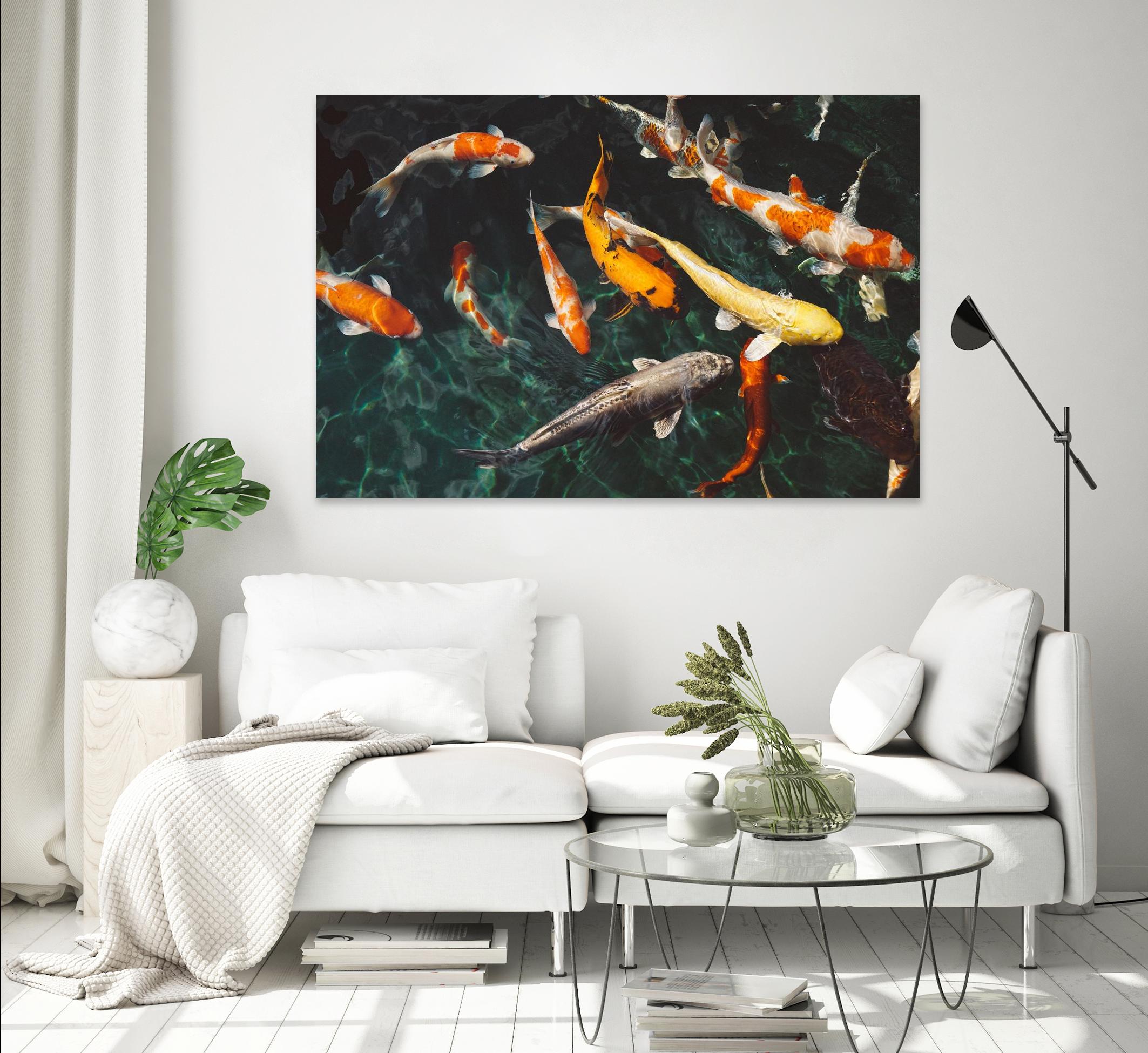 Koi by Pexels on GIANT ART - green animals
