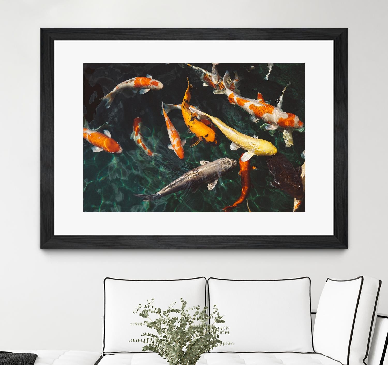 Koi by Pexels on GIANT ART - green animals