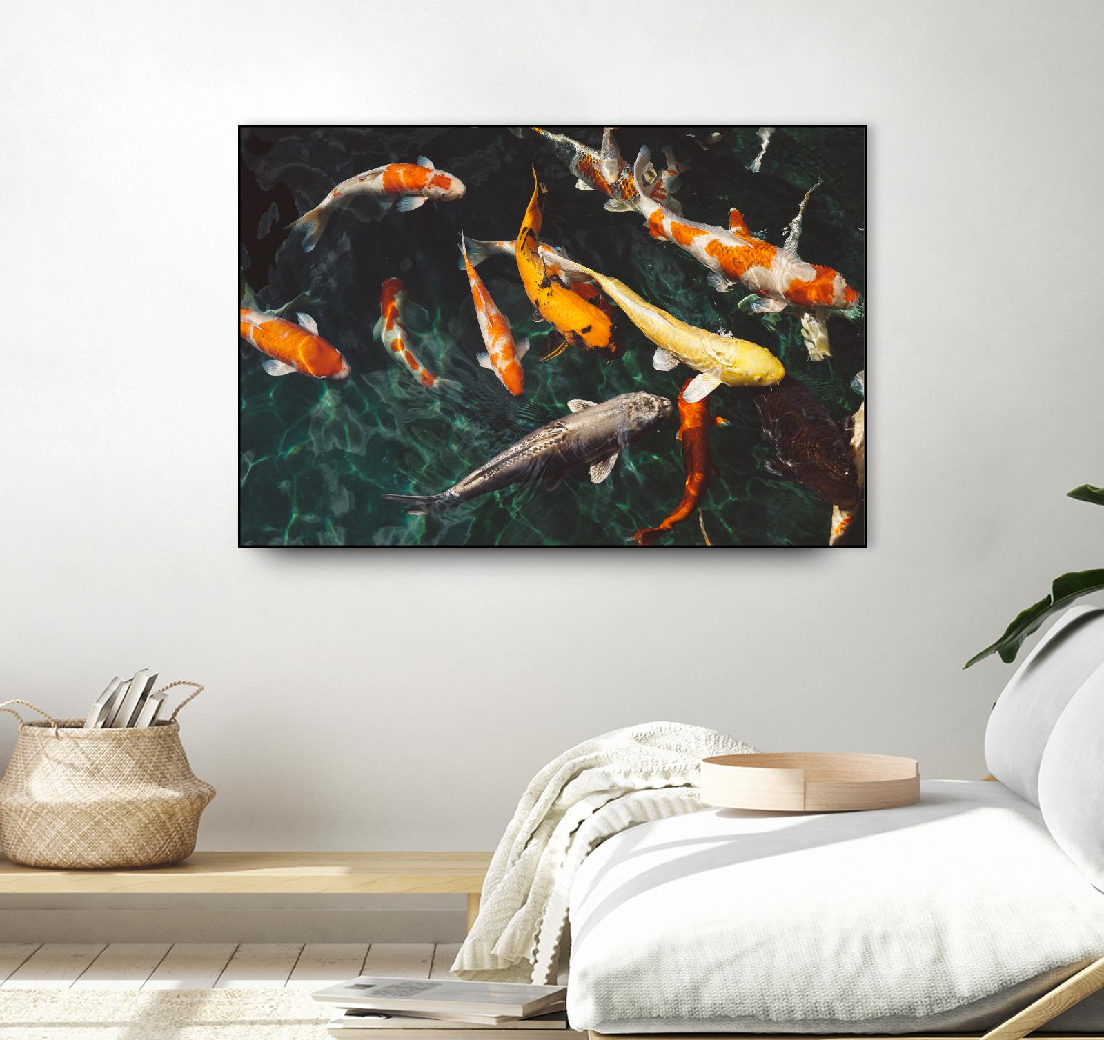 Koi by Pexels on GIANT ART - green animals