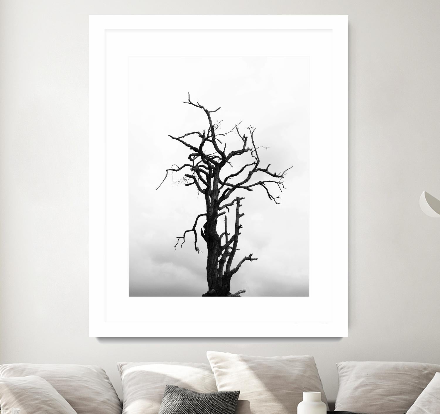 Dead tree by Pexels on GIANT ART - white trees