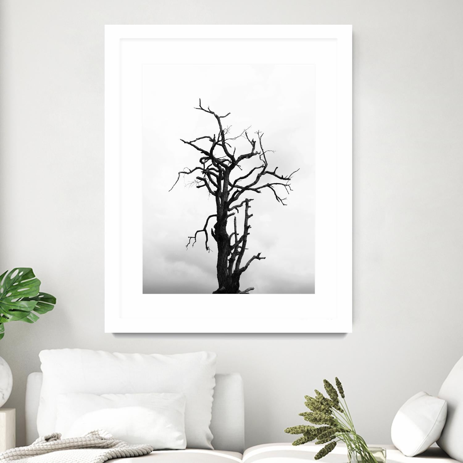 Dead tree by Pexels on GIANT ART - white trees