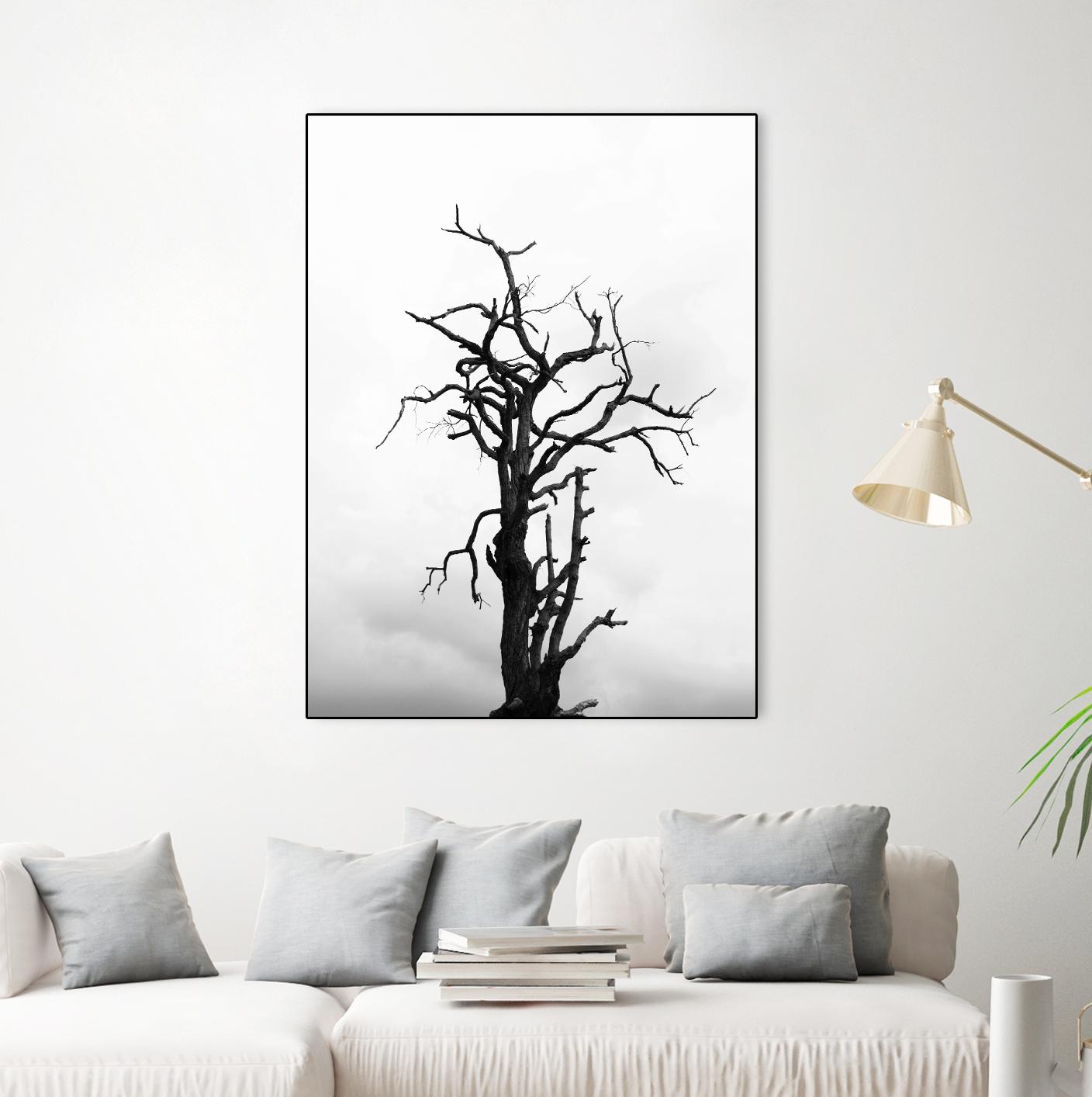 Dead tree by Pexels on GIANT ART - white trees