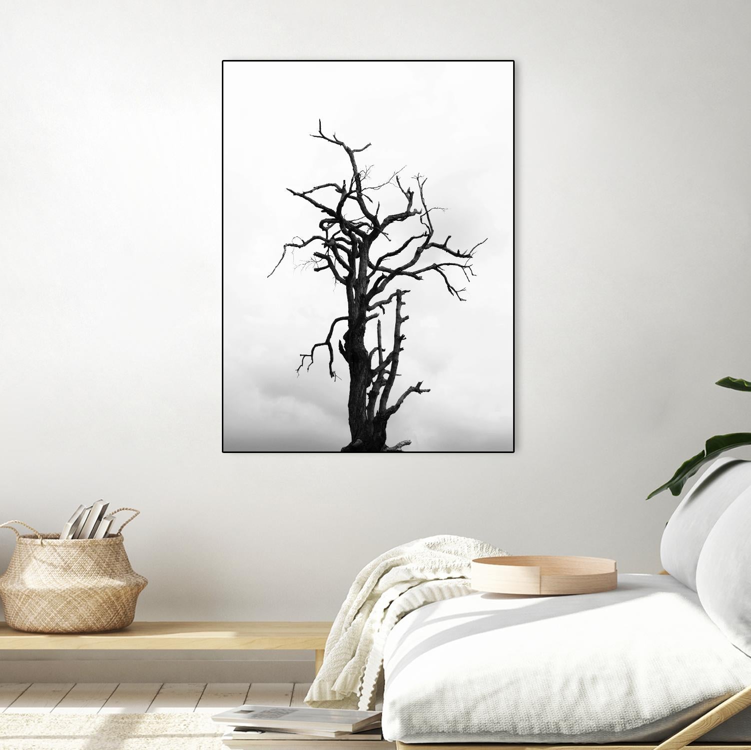 Dead tree by Pexels on GIANT ART - white trees