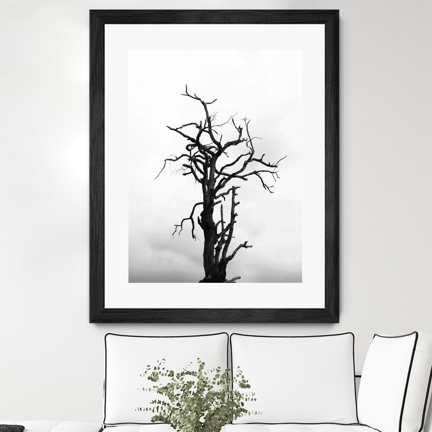 Dead tree by Pexels on GIANT ART - white trees