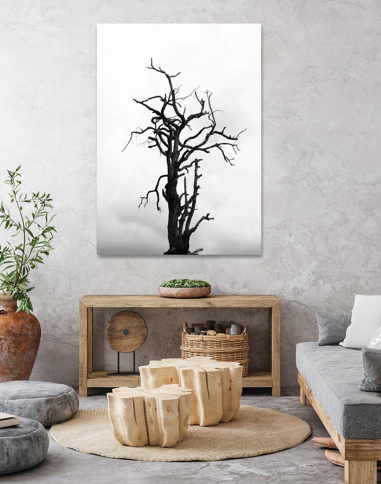 Dead tree by Pexels on GIANT ART - white trees