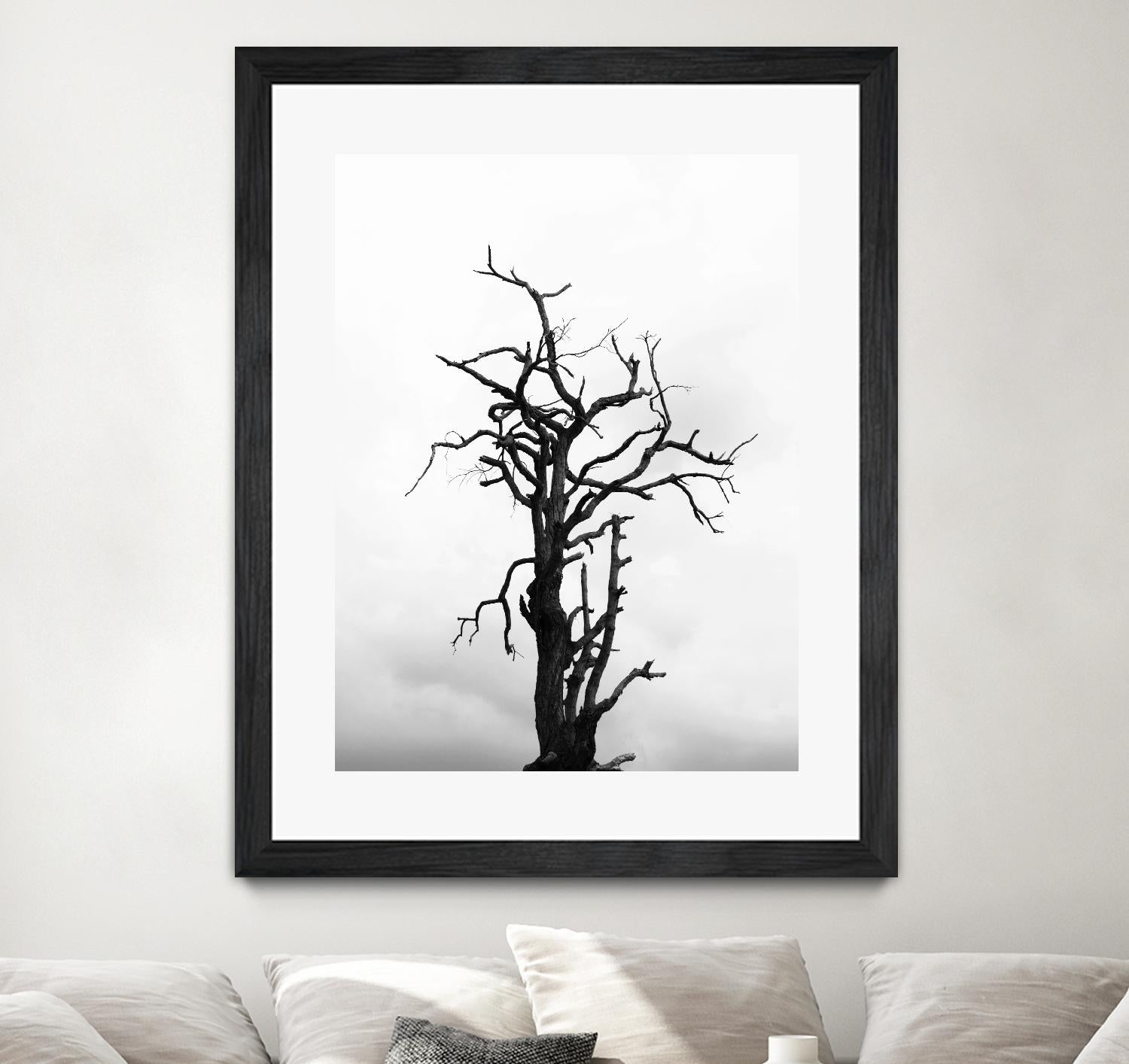 Dead tree by Pexels on GIANT ART - white trees