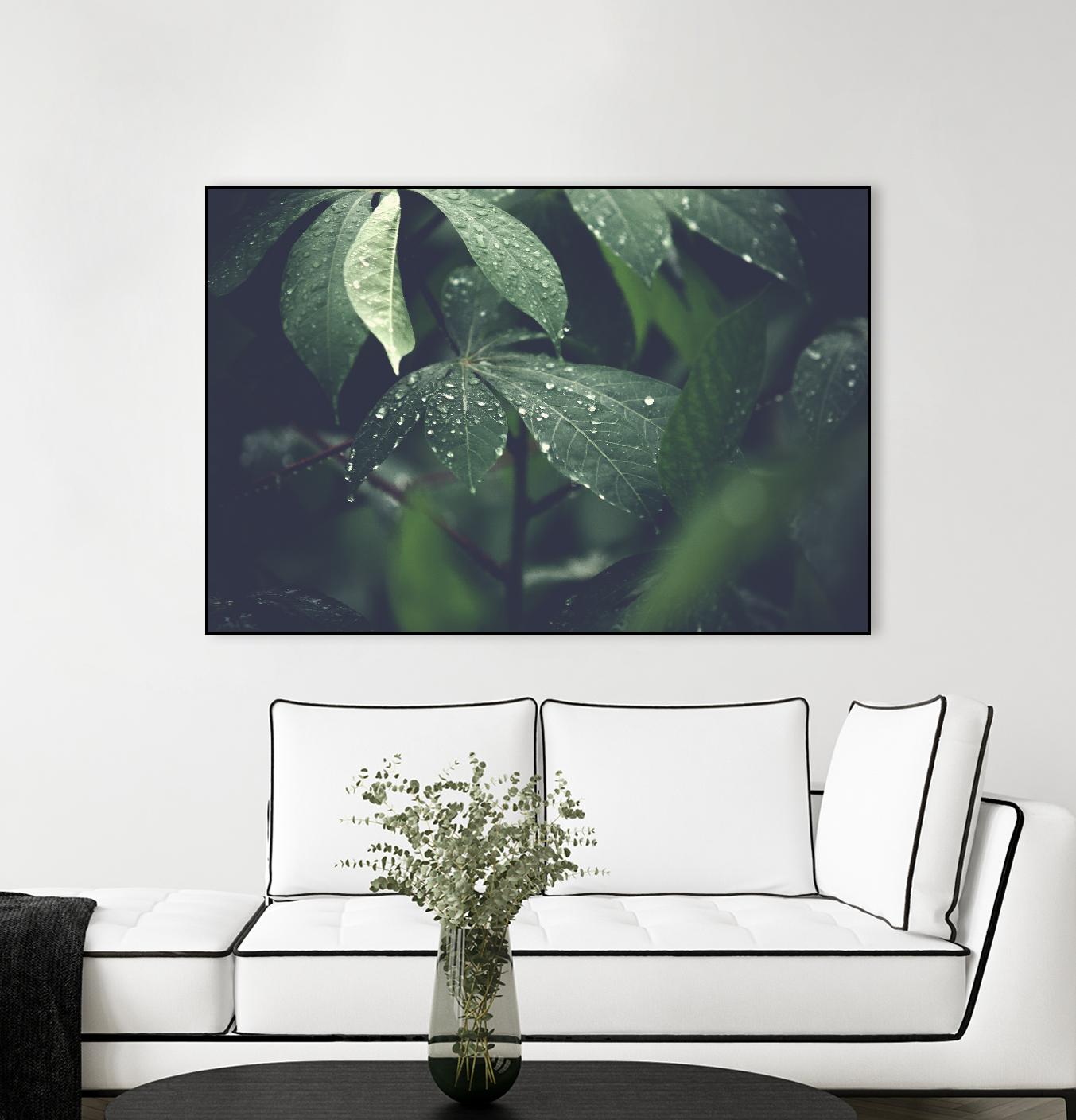 Leaves by Pexels on GIANT ART - black botany
