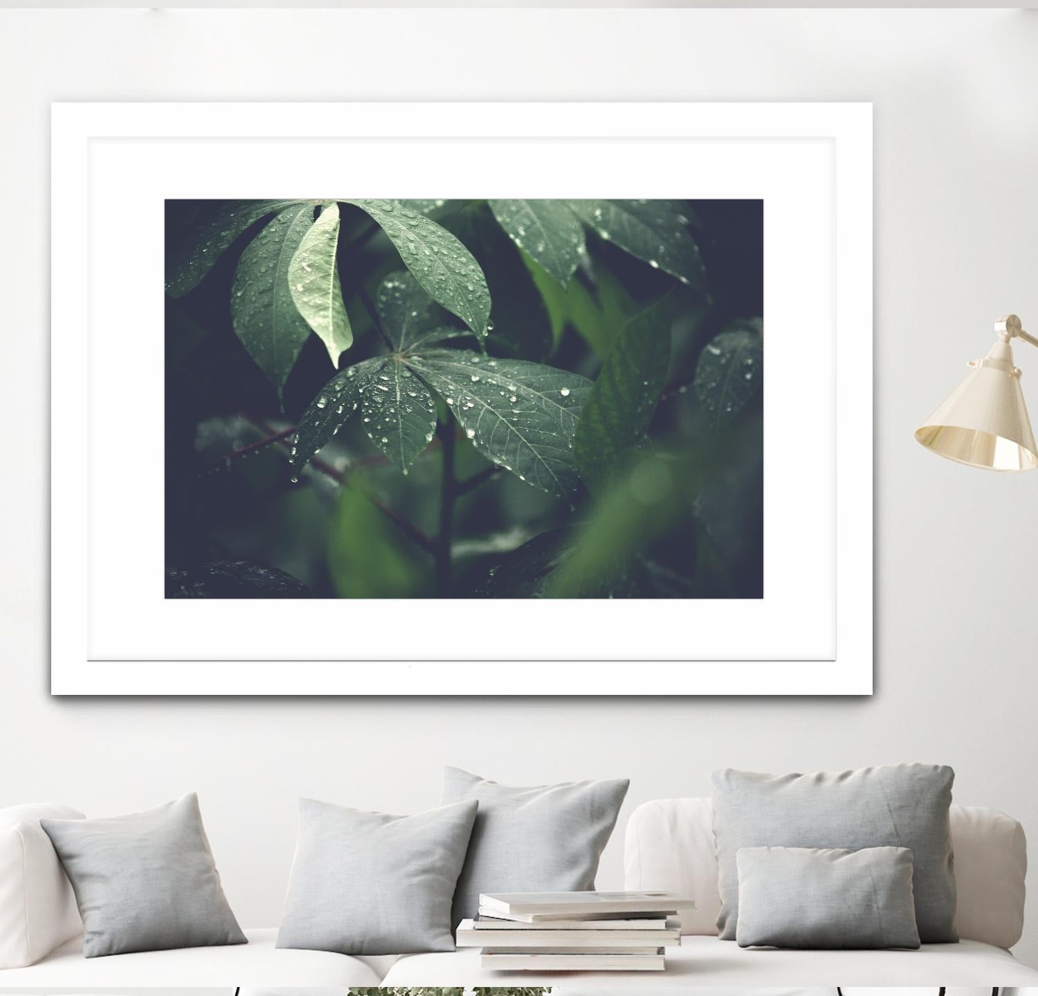 Leaves by Pexels on GIANT ART - black botany