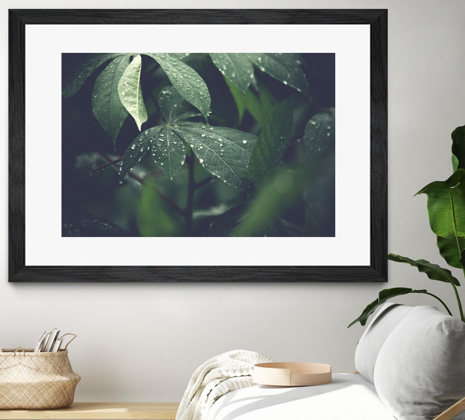 Leaves by Pexels on GIANT ART - black botany