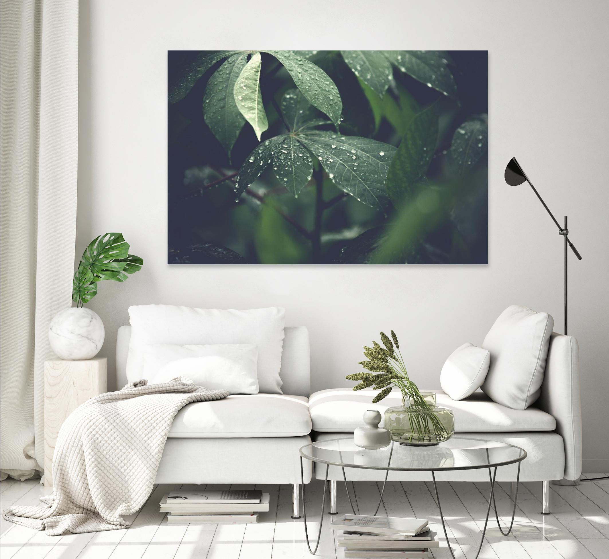 Leaves by Pexels on GIANT ART - black botany