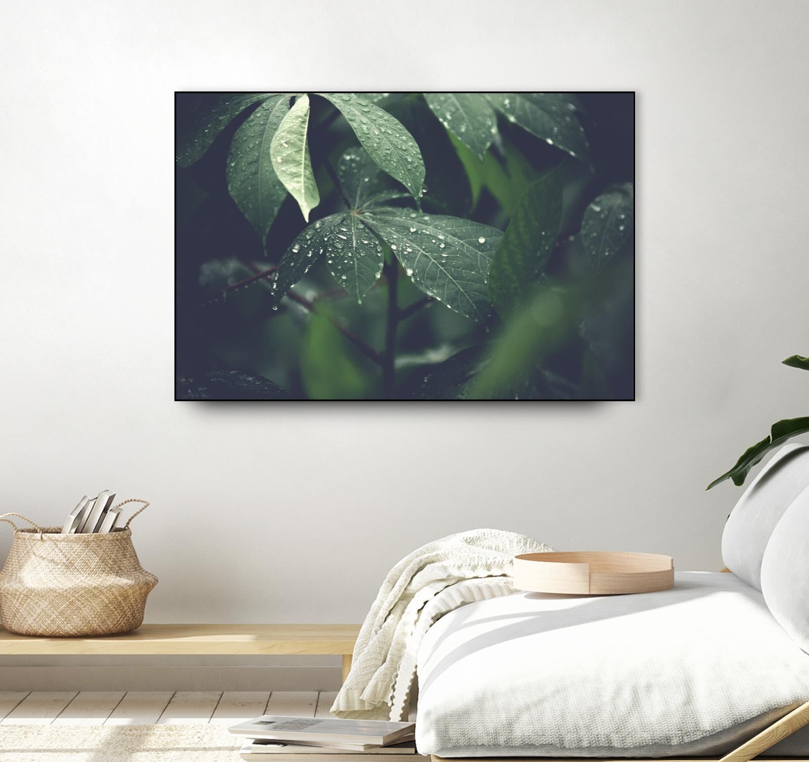 Leaves by Pexels on GIANT ART - black botany