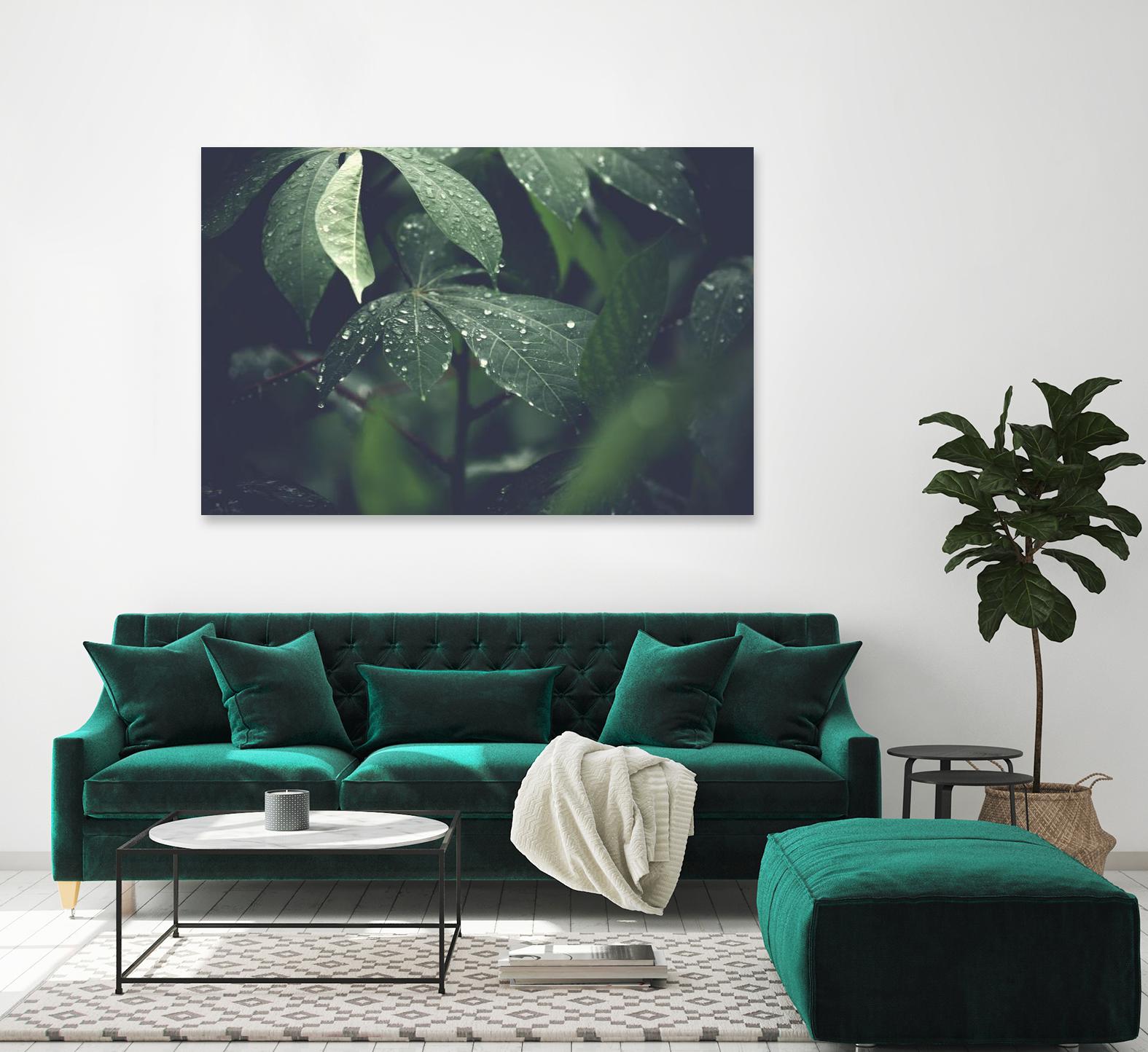 Leaves by Pexels on GIANT ART - black botany