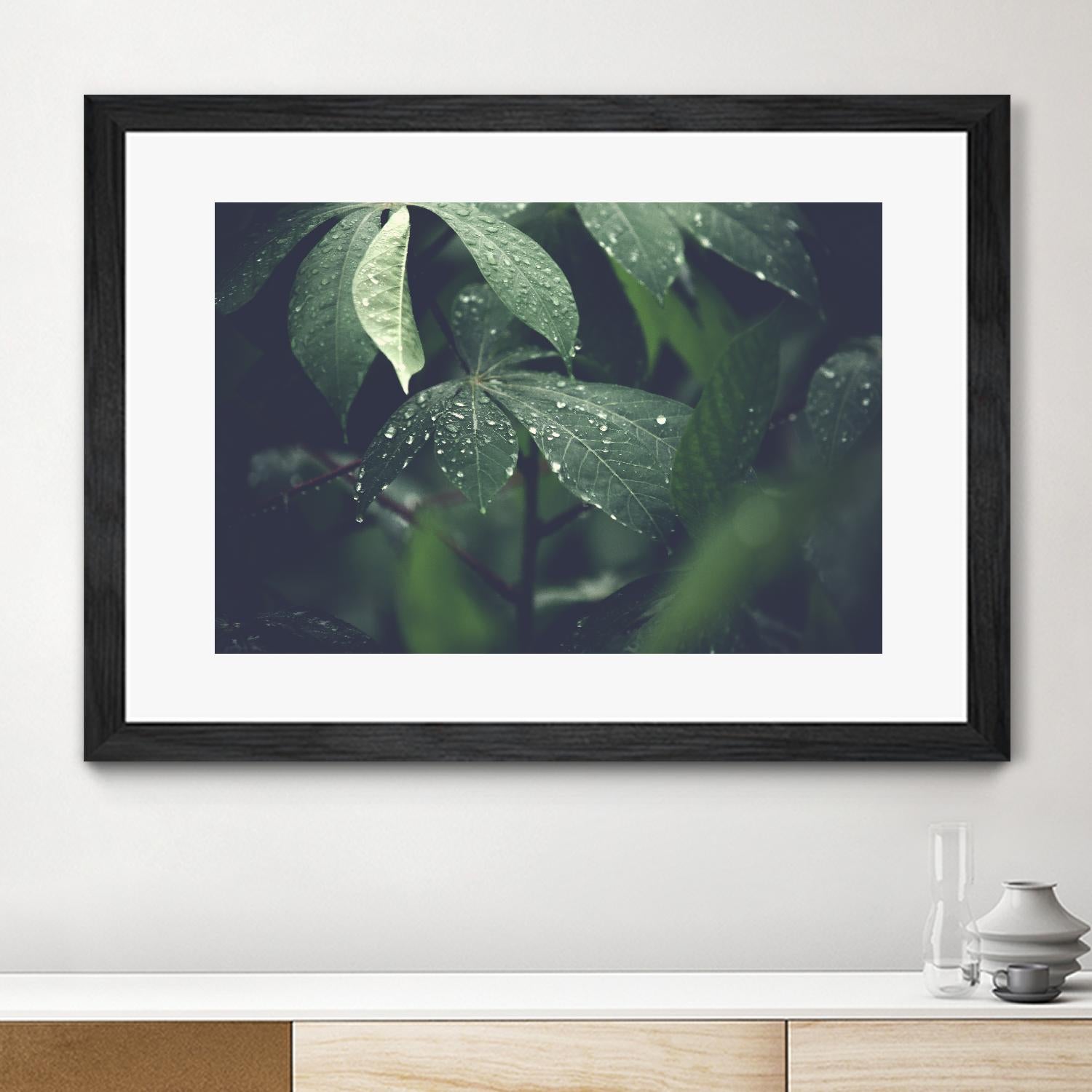 Leaves by Pexels on GIANT ART - black botany