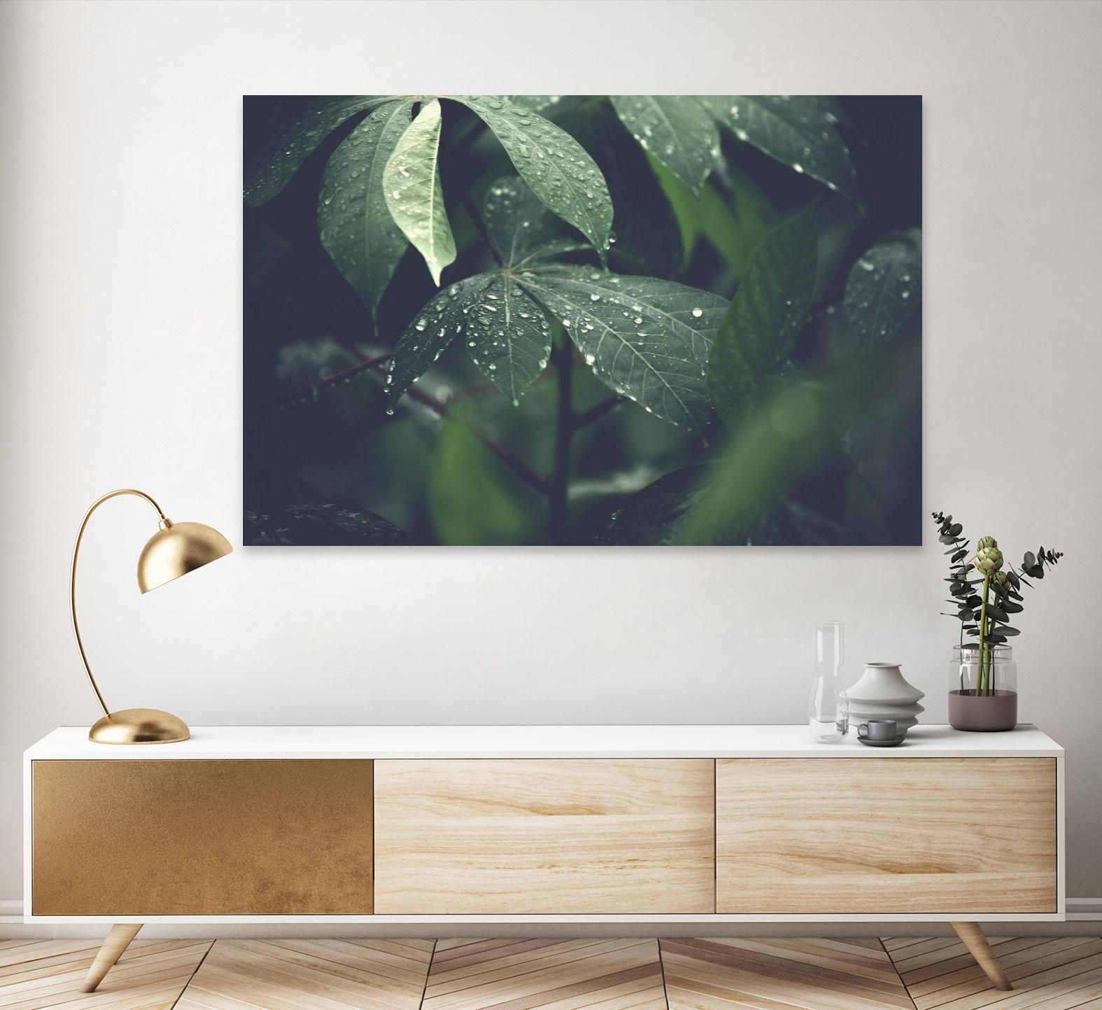 Leaves by Pexels on GIANT ART - black botany