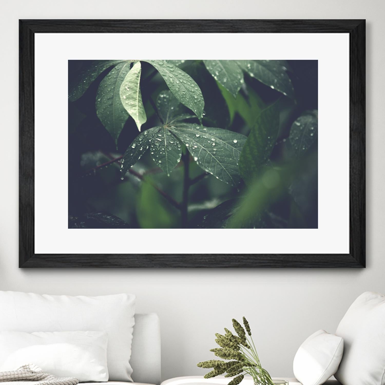 Leaves by Pexels on GIANT ART - black botany