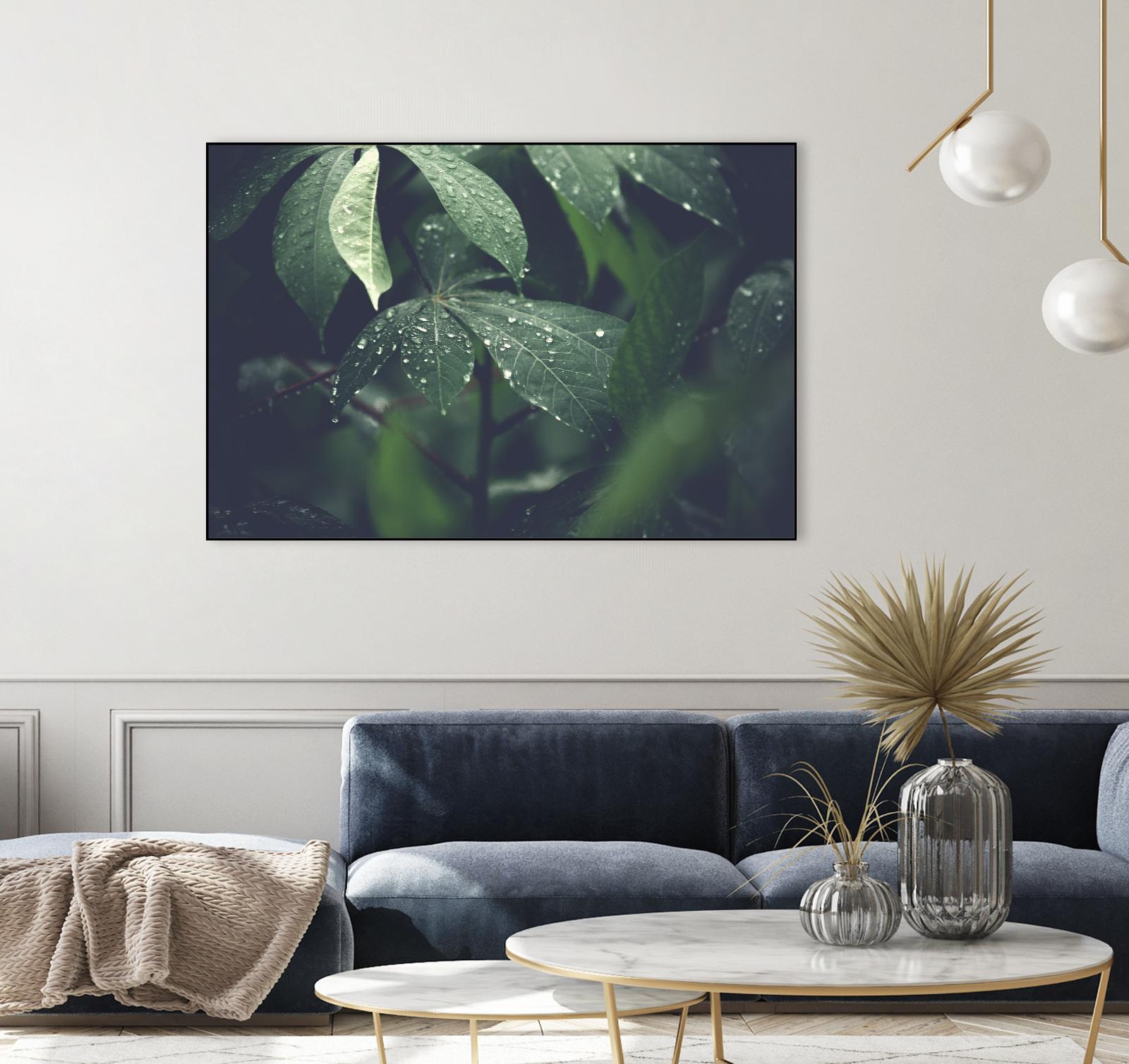 Leaves by Pexels on GIANT ART - black botany
