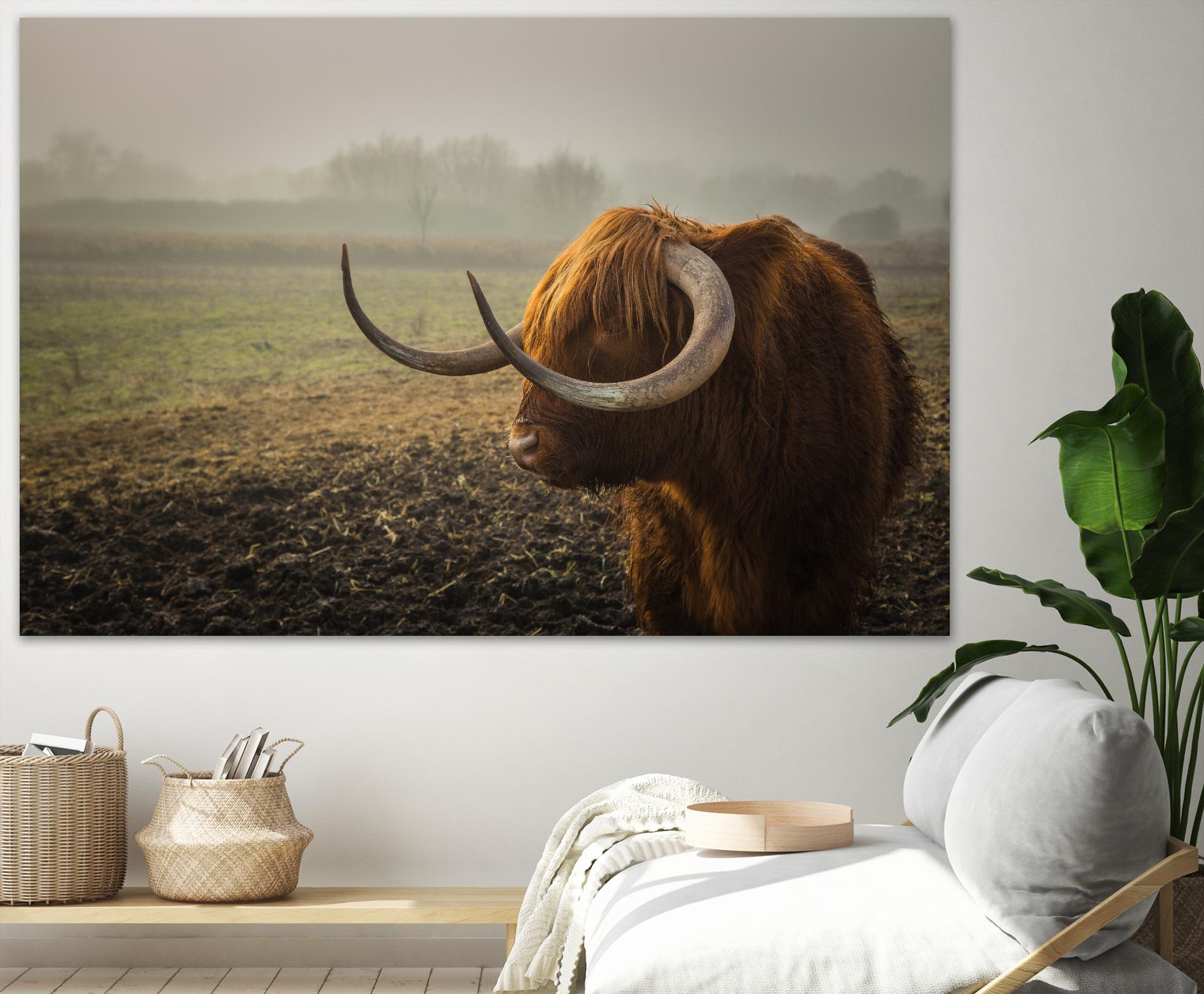 Longhorn by Pexels on GIANT ART - green animals