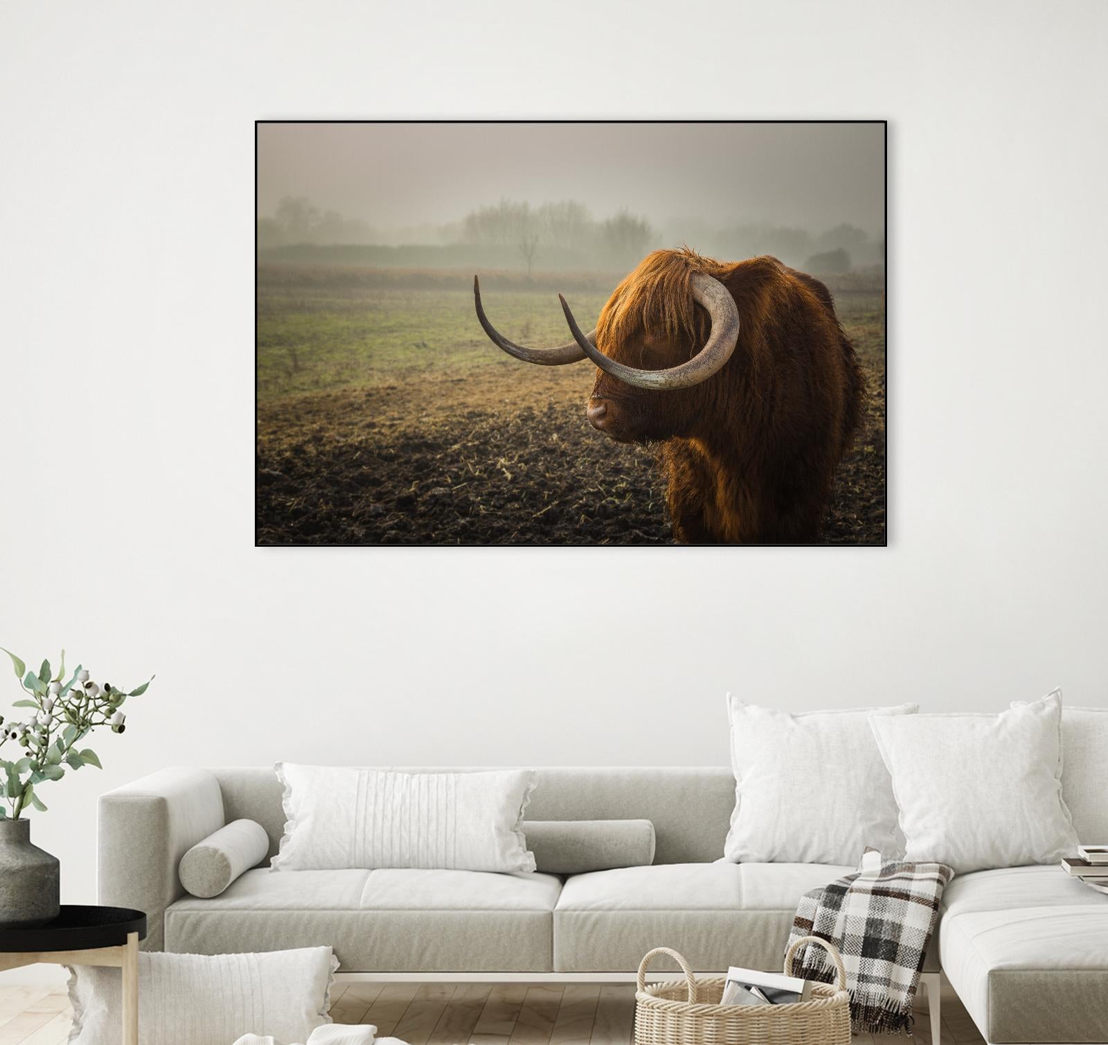Longhorn by Pexels on GIANT ART - green animals