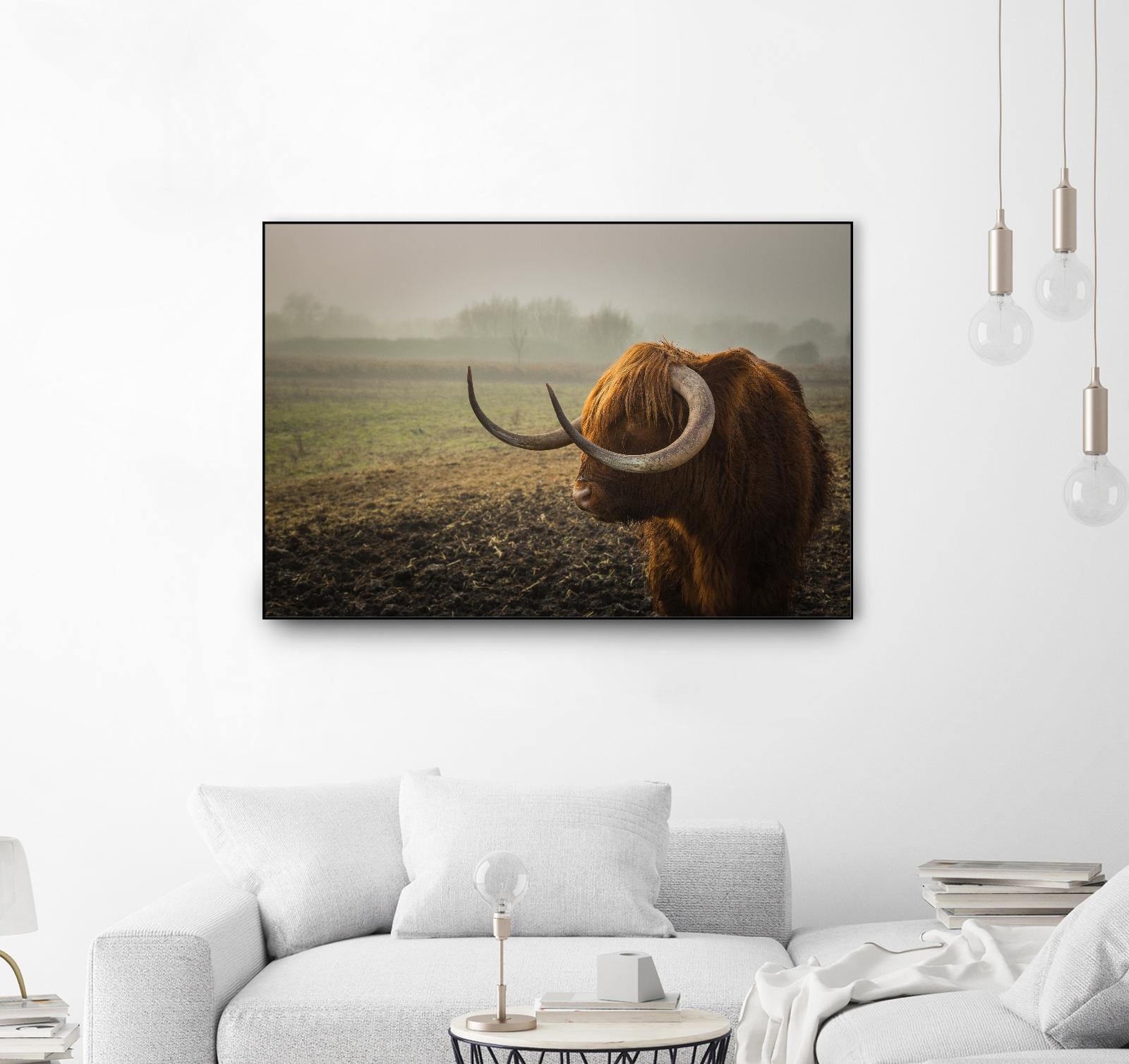 Longhorn by Pexels on GIANT ART - green animals