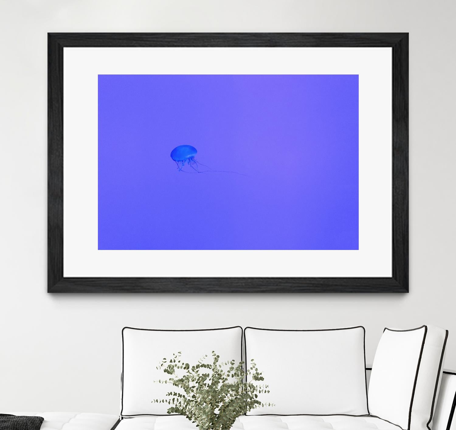 Jellyfish Jam by Pexels on GIANT ART - purple animals