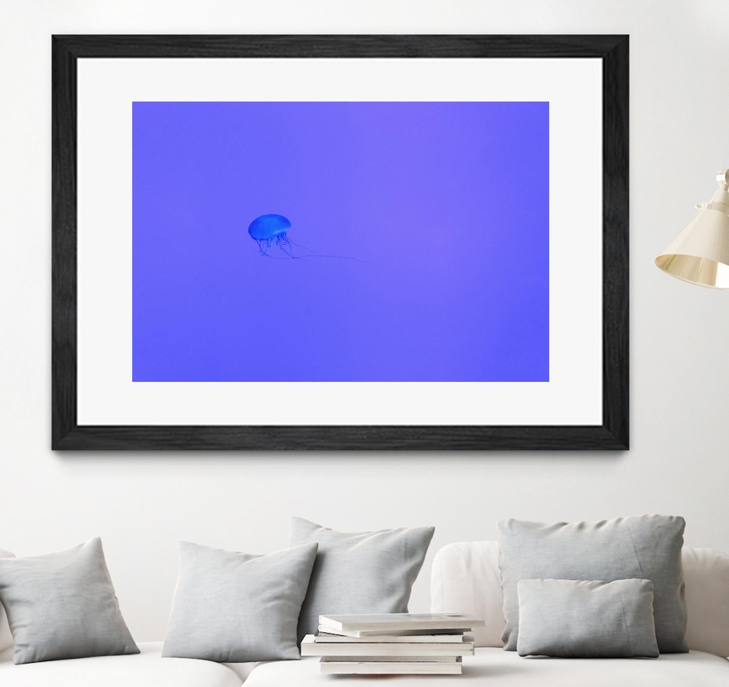 Jellyfish Jam by Pexels on GIANT ART - purple animals