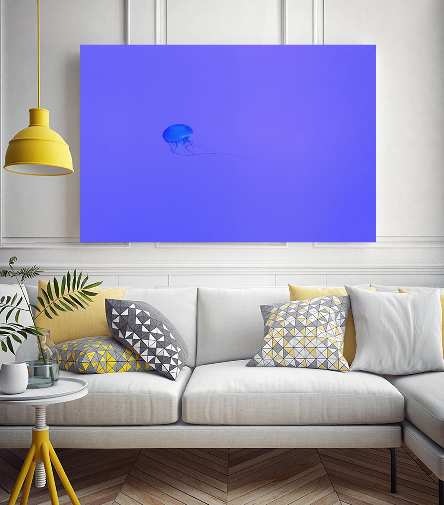 Jellyfish Jam by Pexels on GIANT ART - purple animals