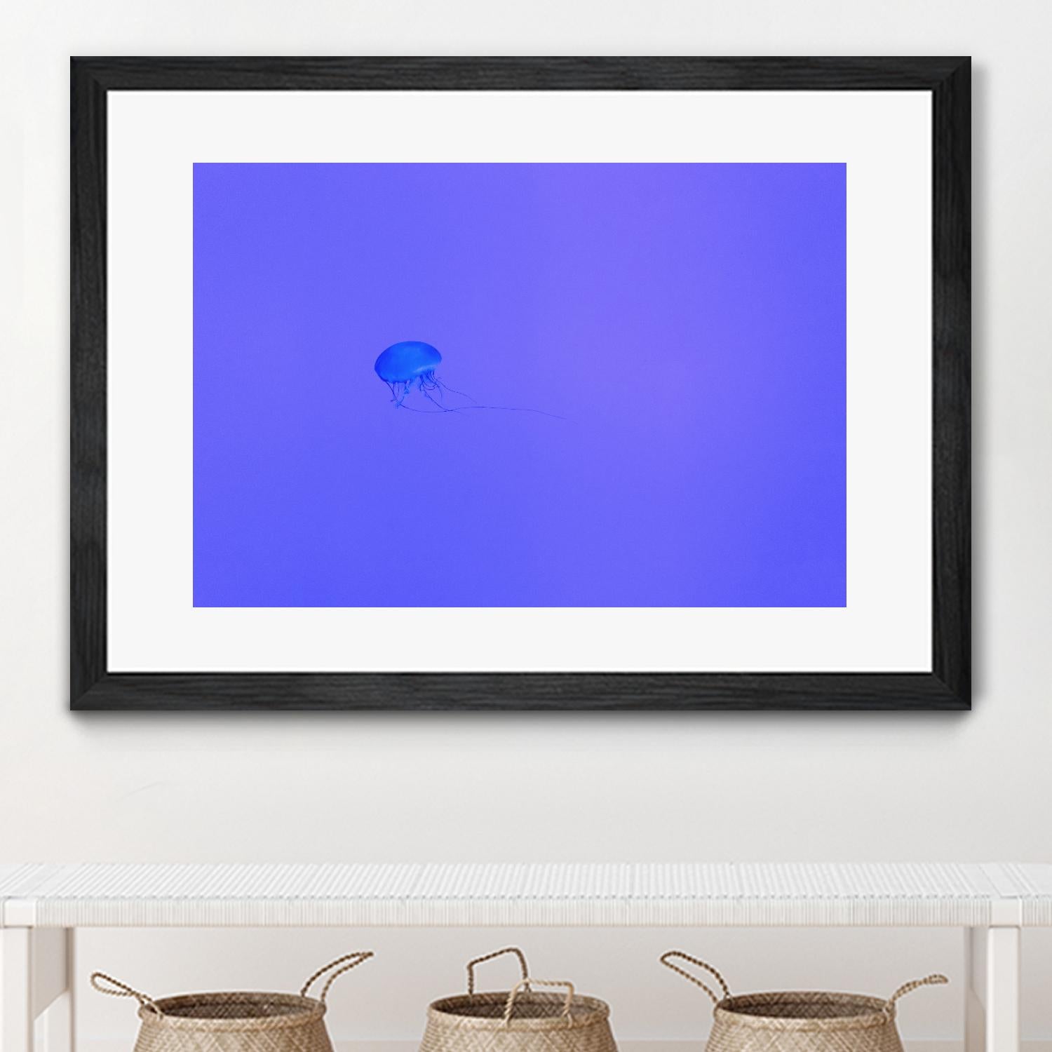 Jellyfish Jam by Pexels on GIANT ART - purple animals