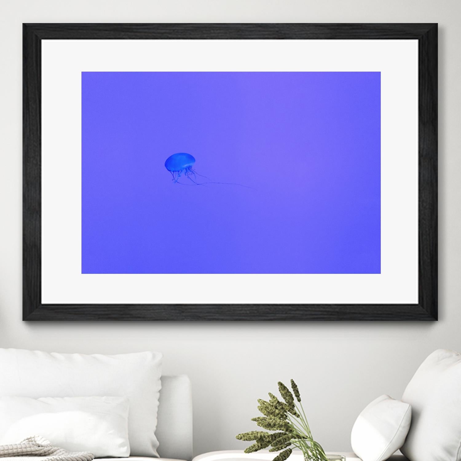 Jellyfish Jam by Pexels on GIANT ART - purple animals