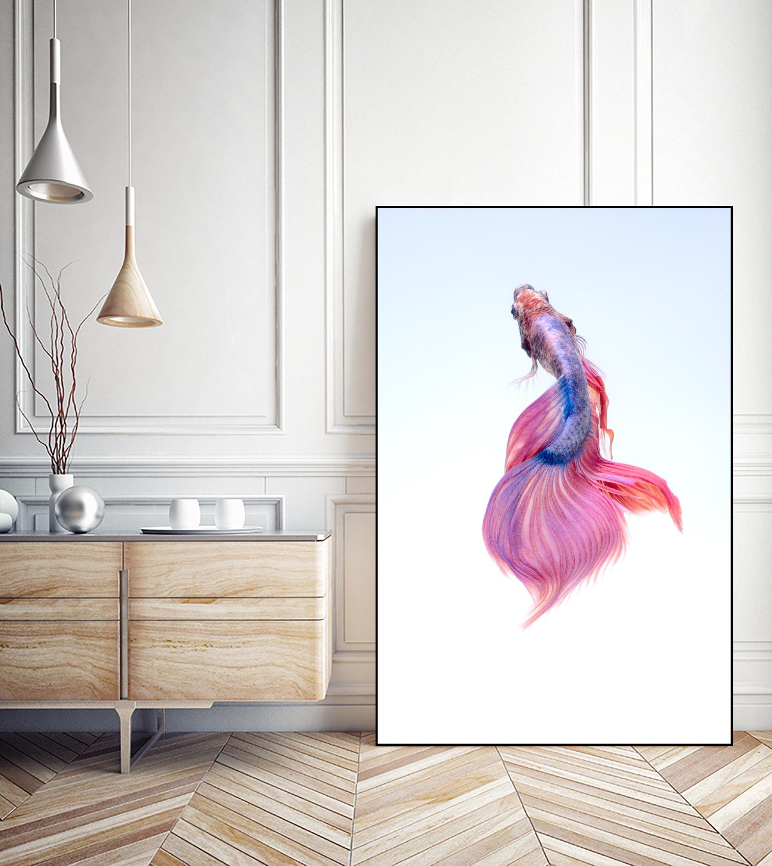 Pretty by Pexels on GIANT ART - blue animals