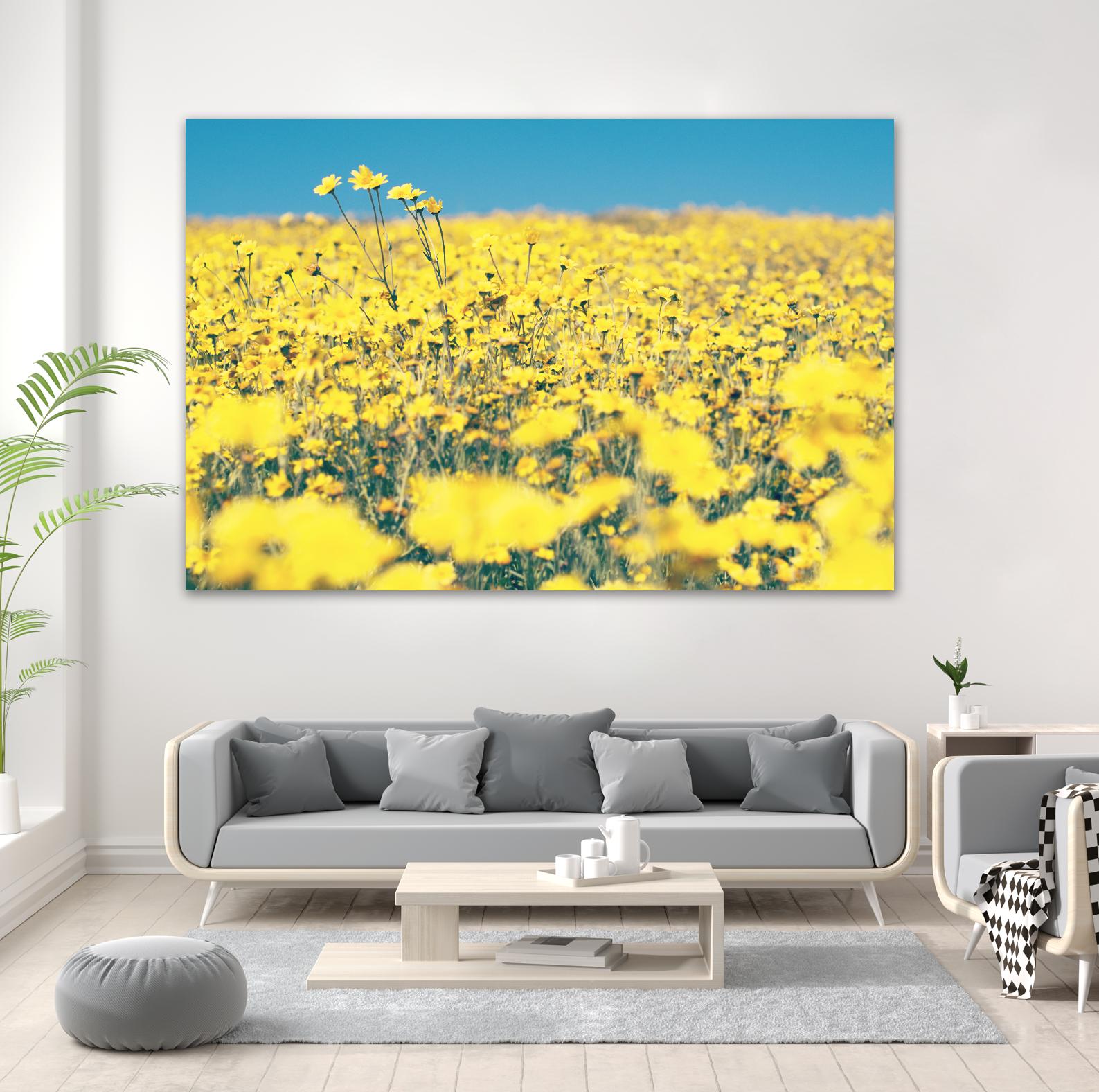 Yellow Floral by Pexels on GIANT ART - blue floral