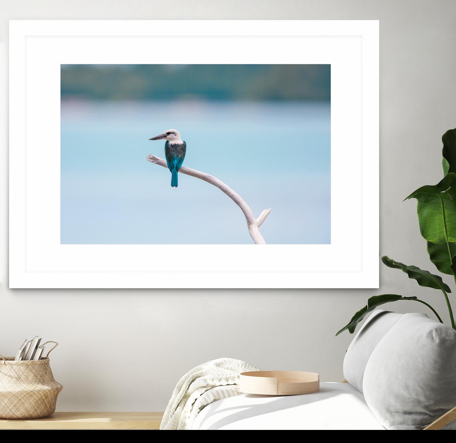 Bird on a branch by Pexels on GIANT ART - white animals