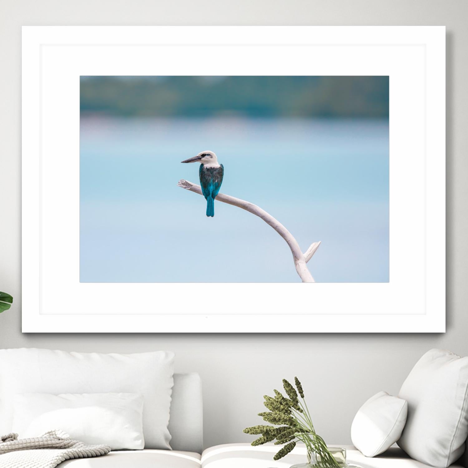 Bird on a branch by Pexels on GIANT ART - white animals