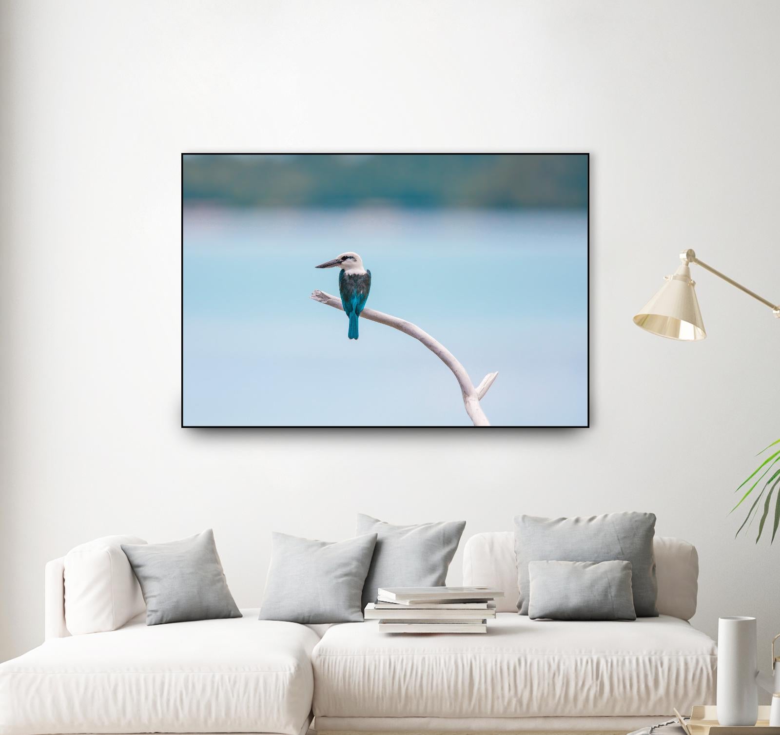 Bird on a branch by Pexels on GIANT ART - white animals