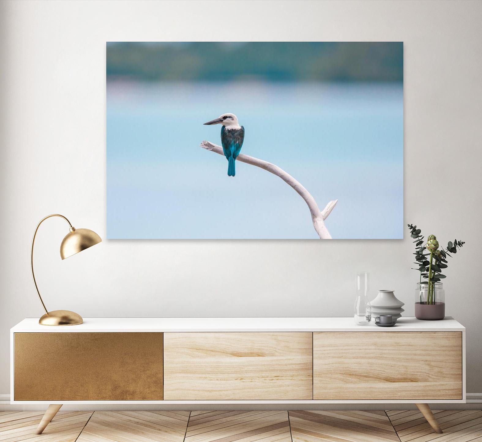 Bird on a branch by Pexels on GIANT ART - white animals