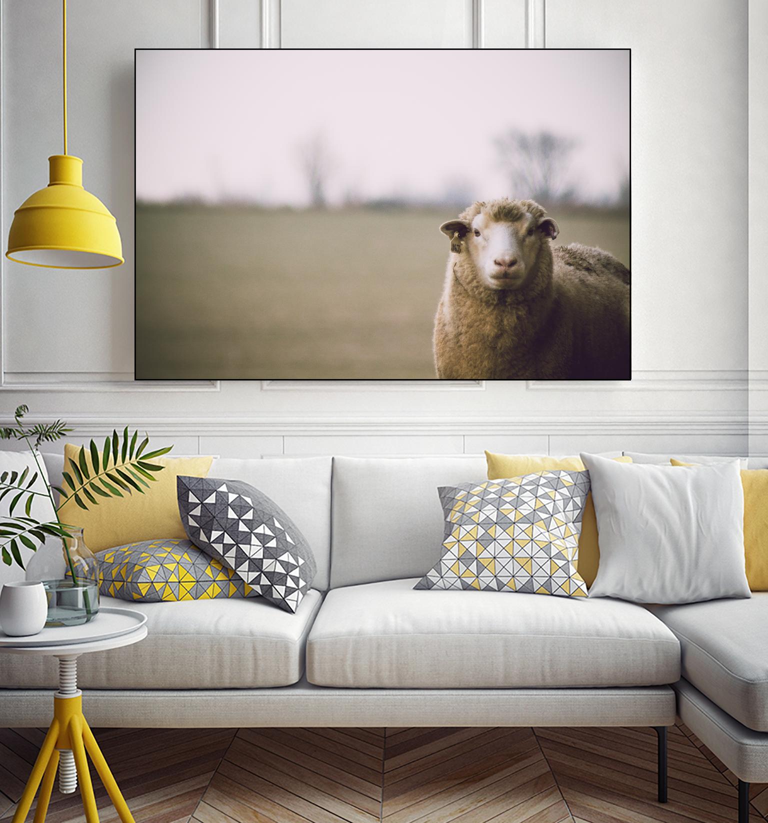 Baa 167 by Pexels on GIANT ART - white animals