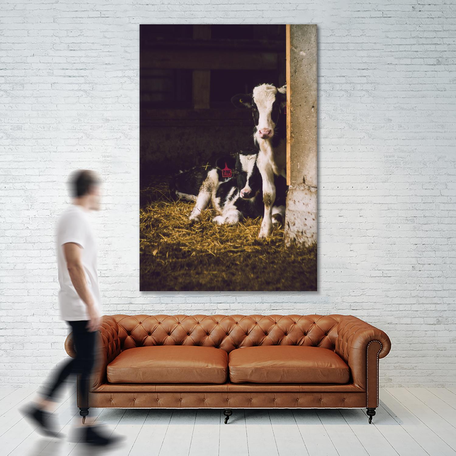 Siblings by Pexels on GIANT ART - yellow animals