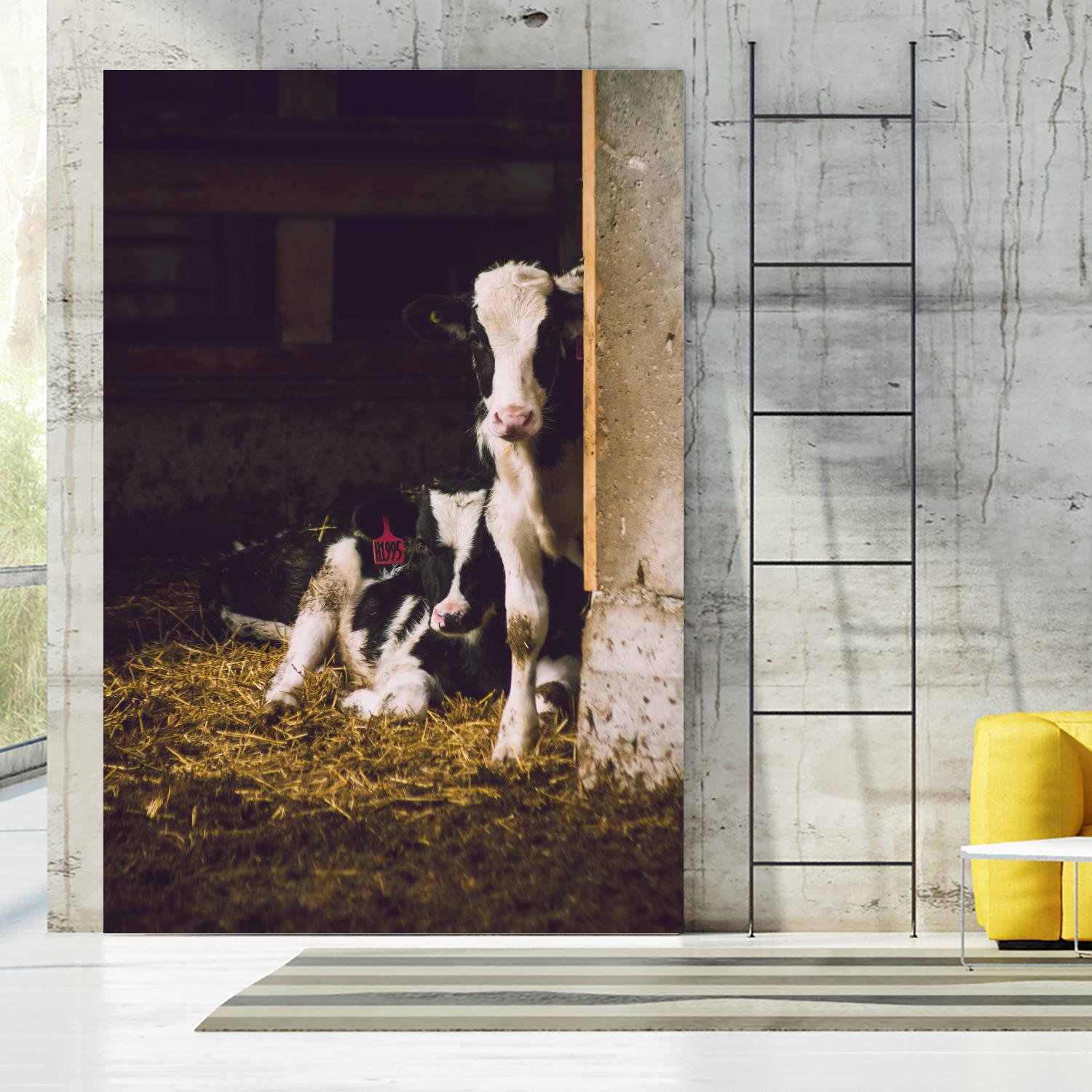 Siblings by Pexels on GIANT ART - yellow animals