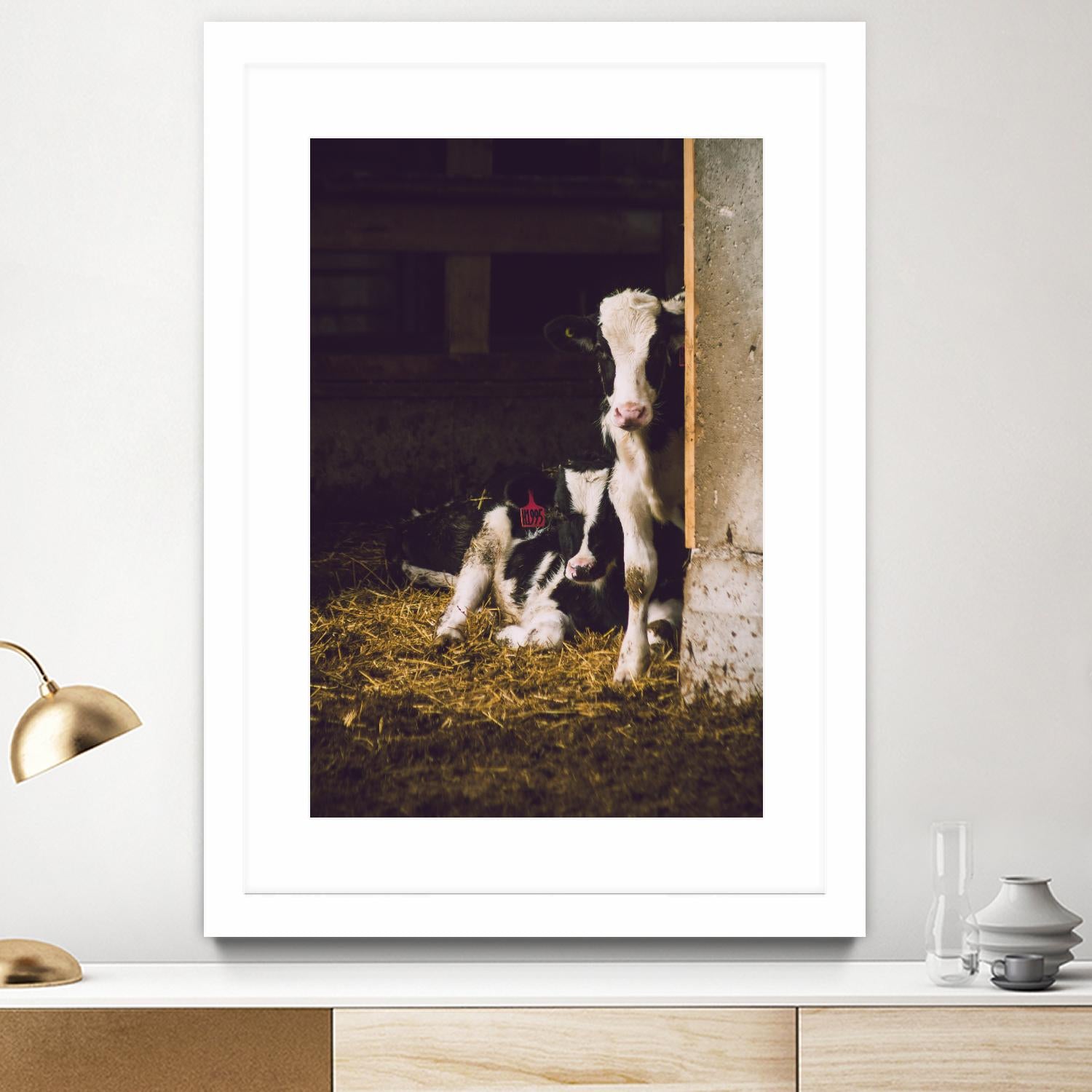 Siblings by Pexels on GIANT ART - yellow animals