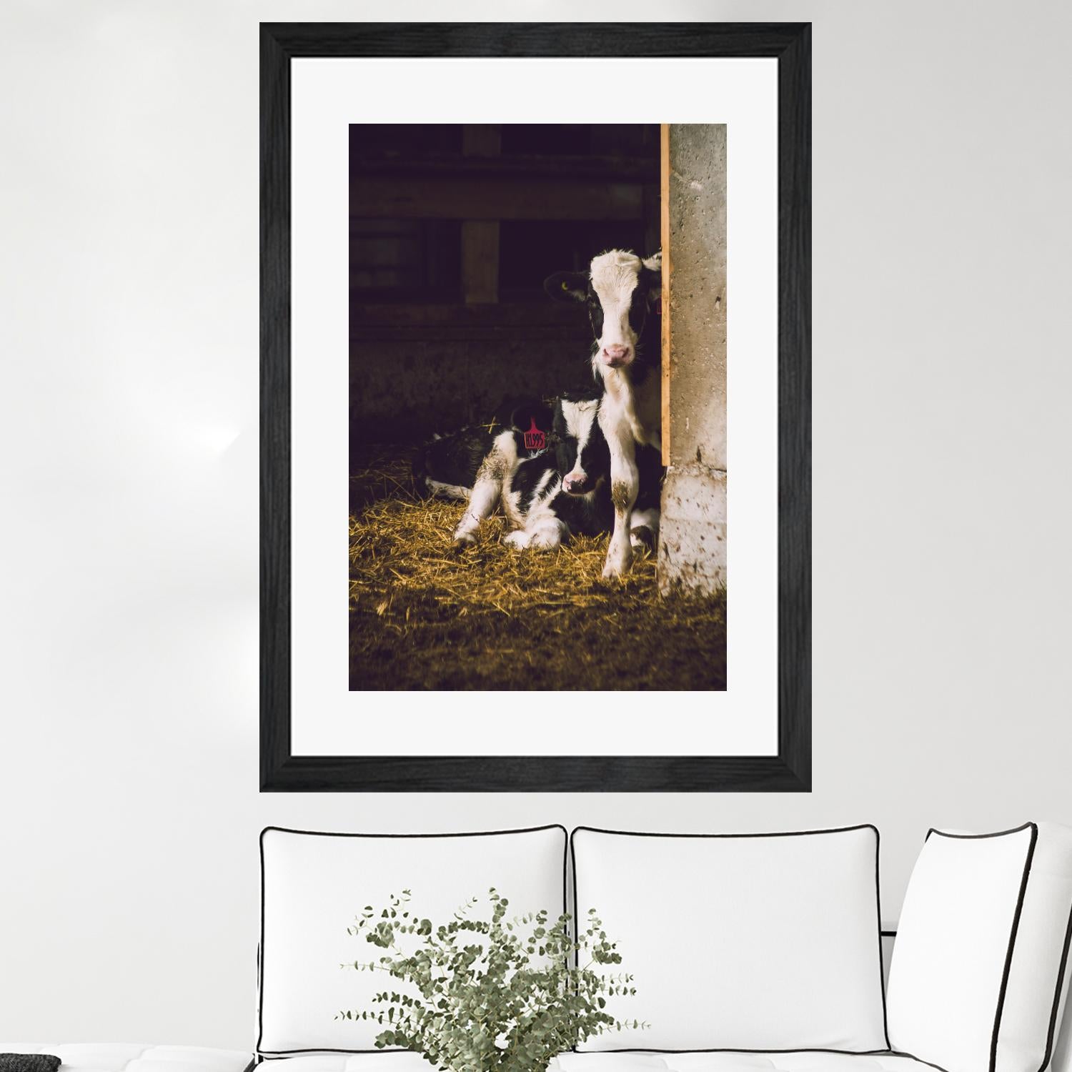 Siblings by Pexels on GIANT ART - yellow animals