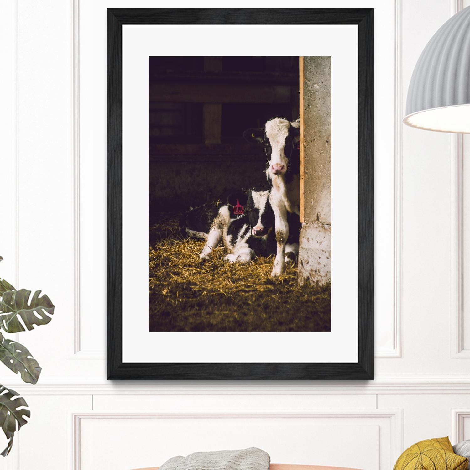 Siblings by Pexels on GIANT ART - yellow animals