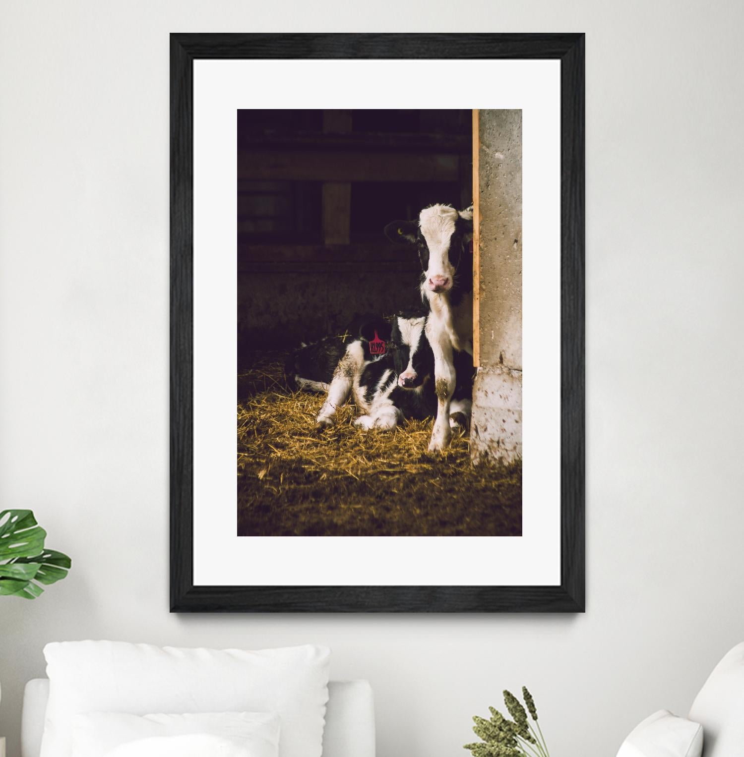 Siblings by Pexels on GIANT ART - yellow animals