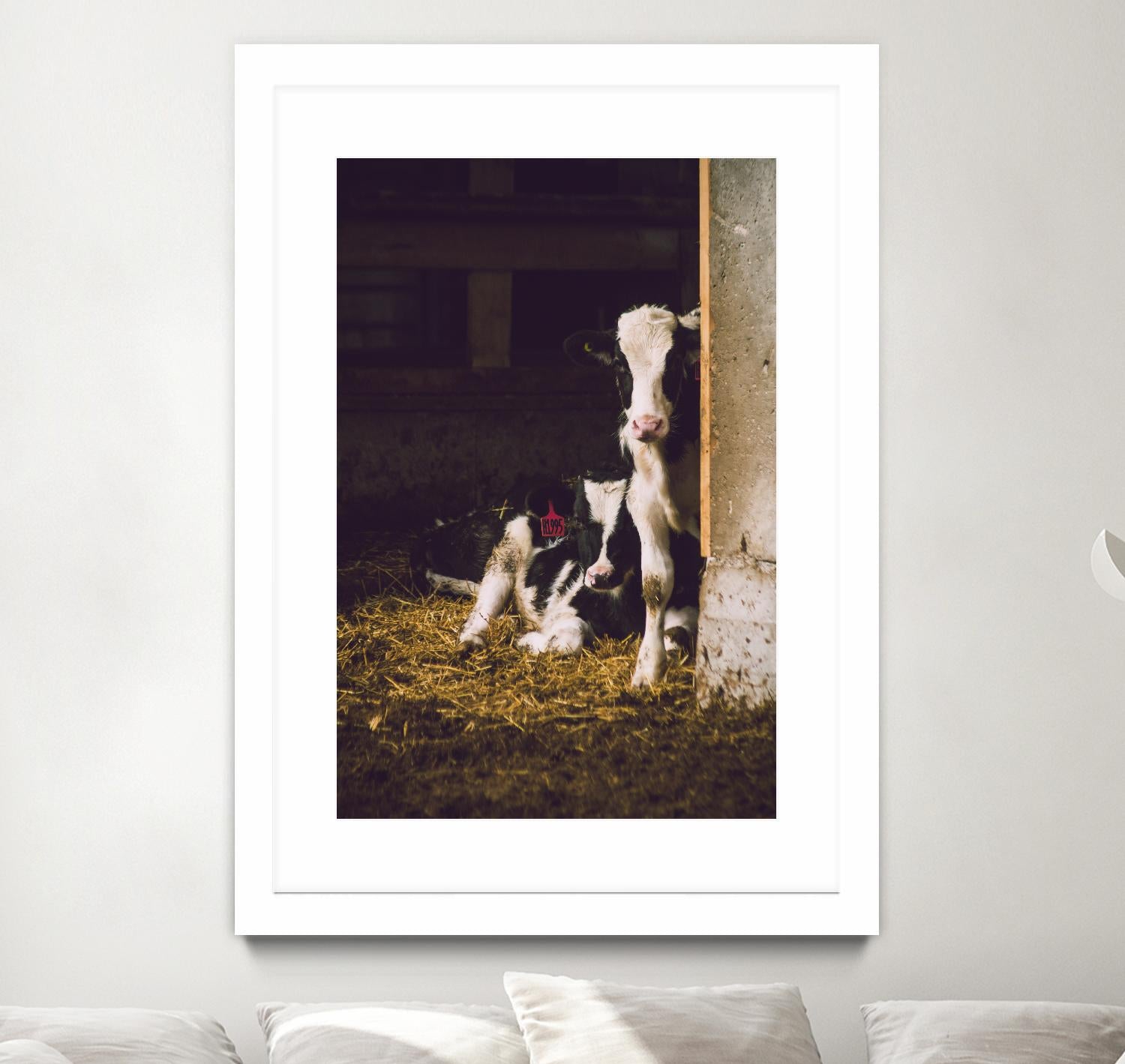 Siblings by Pexels on GIANT ART - yellow animals