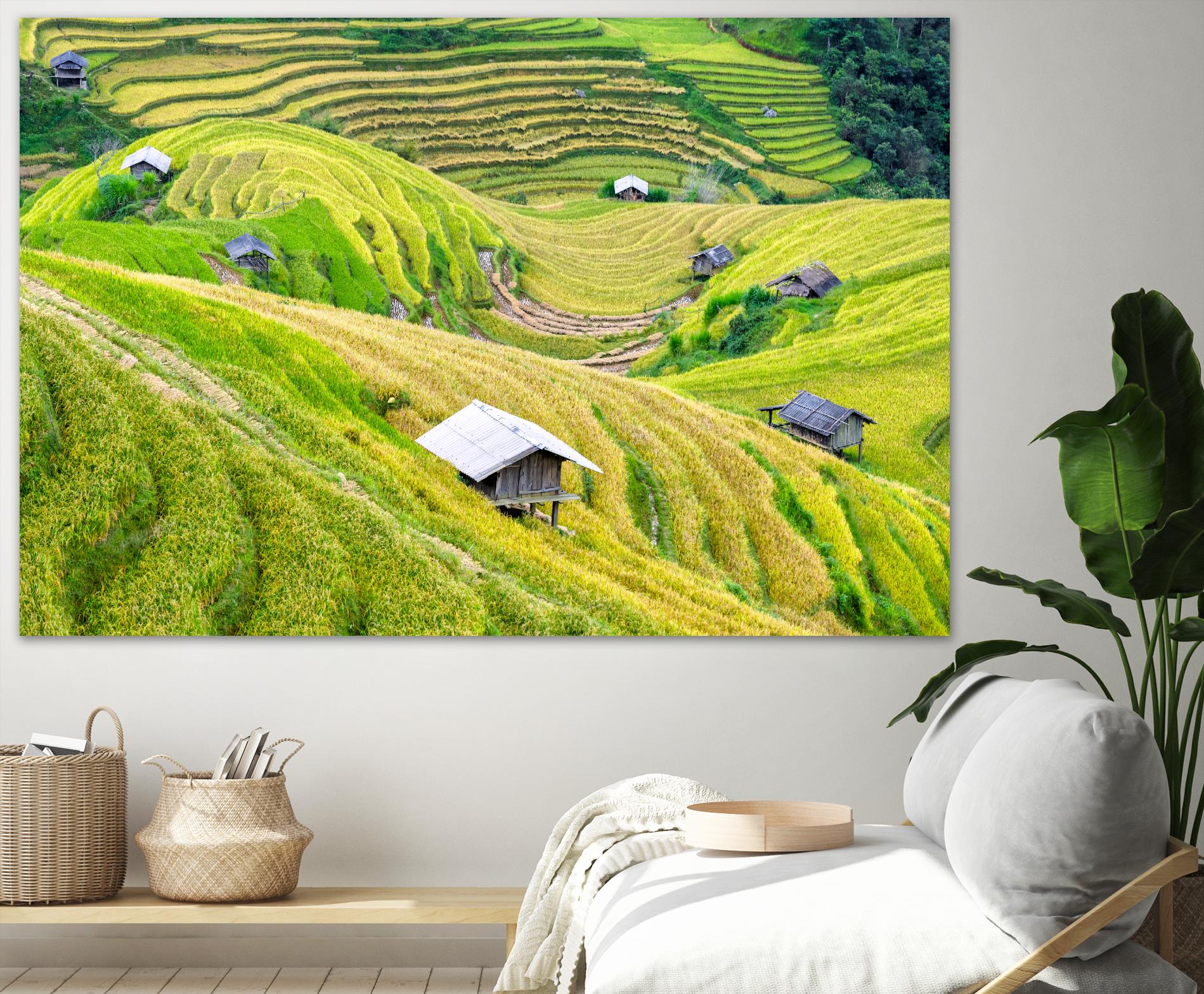 Paddy field valley by Pexels on GIANT ART - yellow landscape