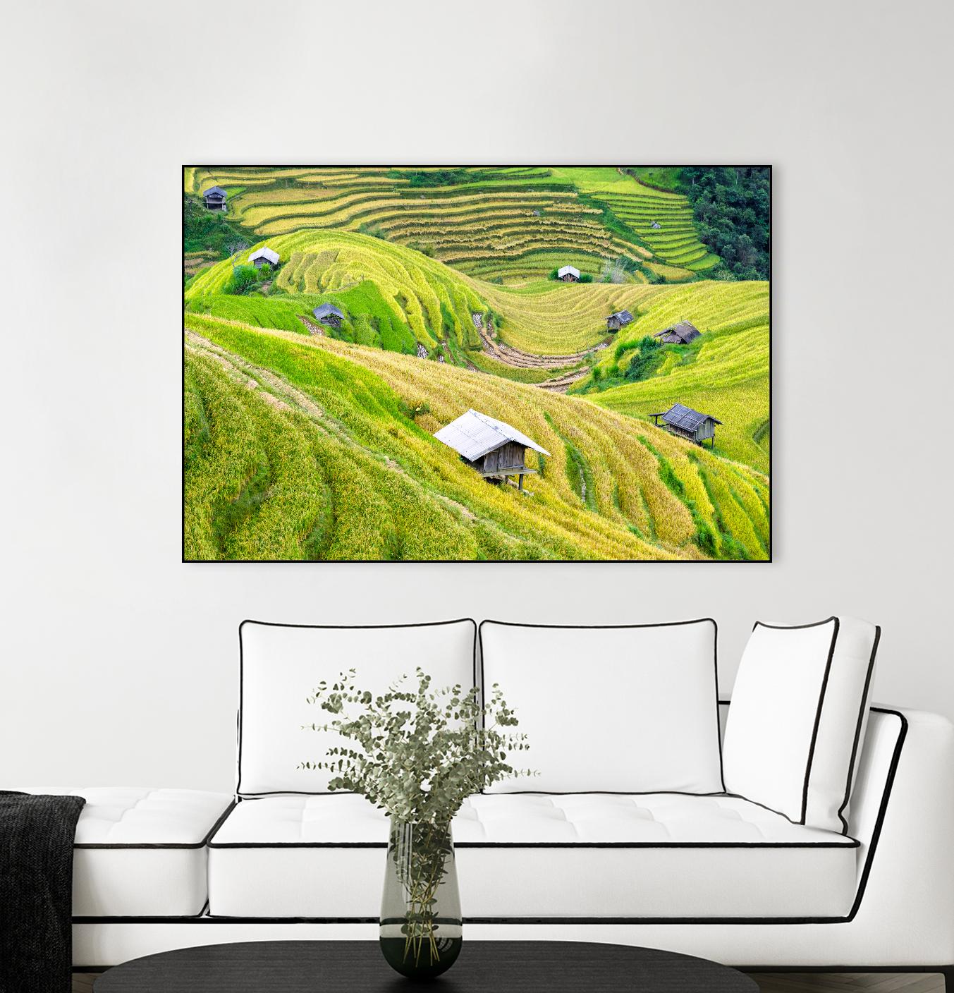 Paddy field valley by Pexels on GIANT ART - yellow landscape