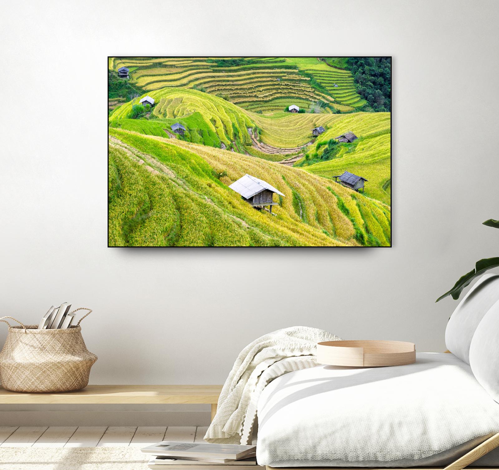 Paddy field valley by Pexels on GIANT ART - yellow landscape