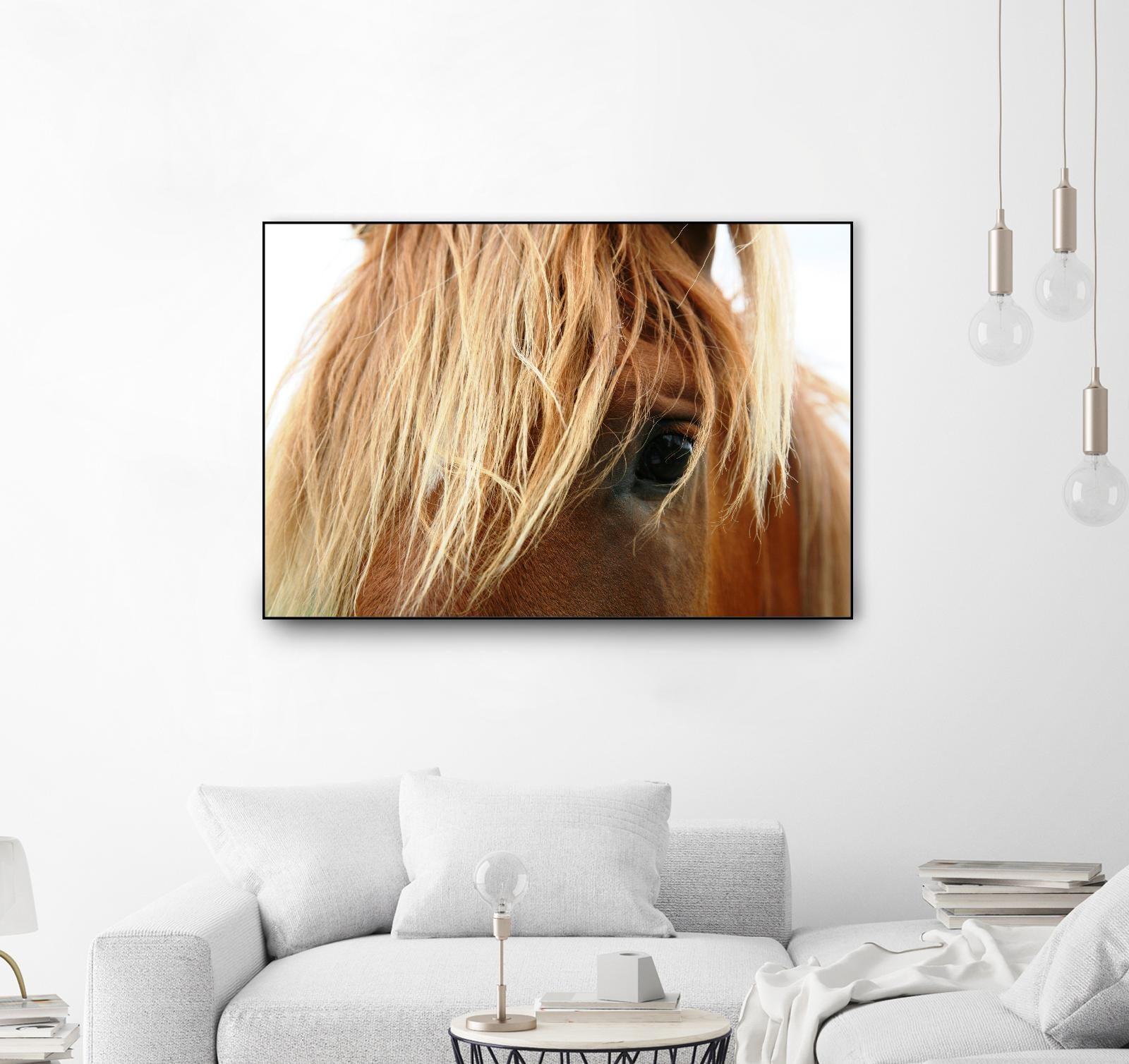 Horsey by Pexels on GIANT ART - white animals