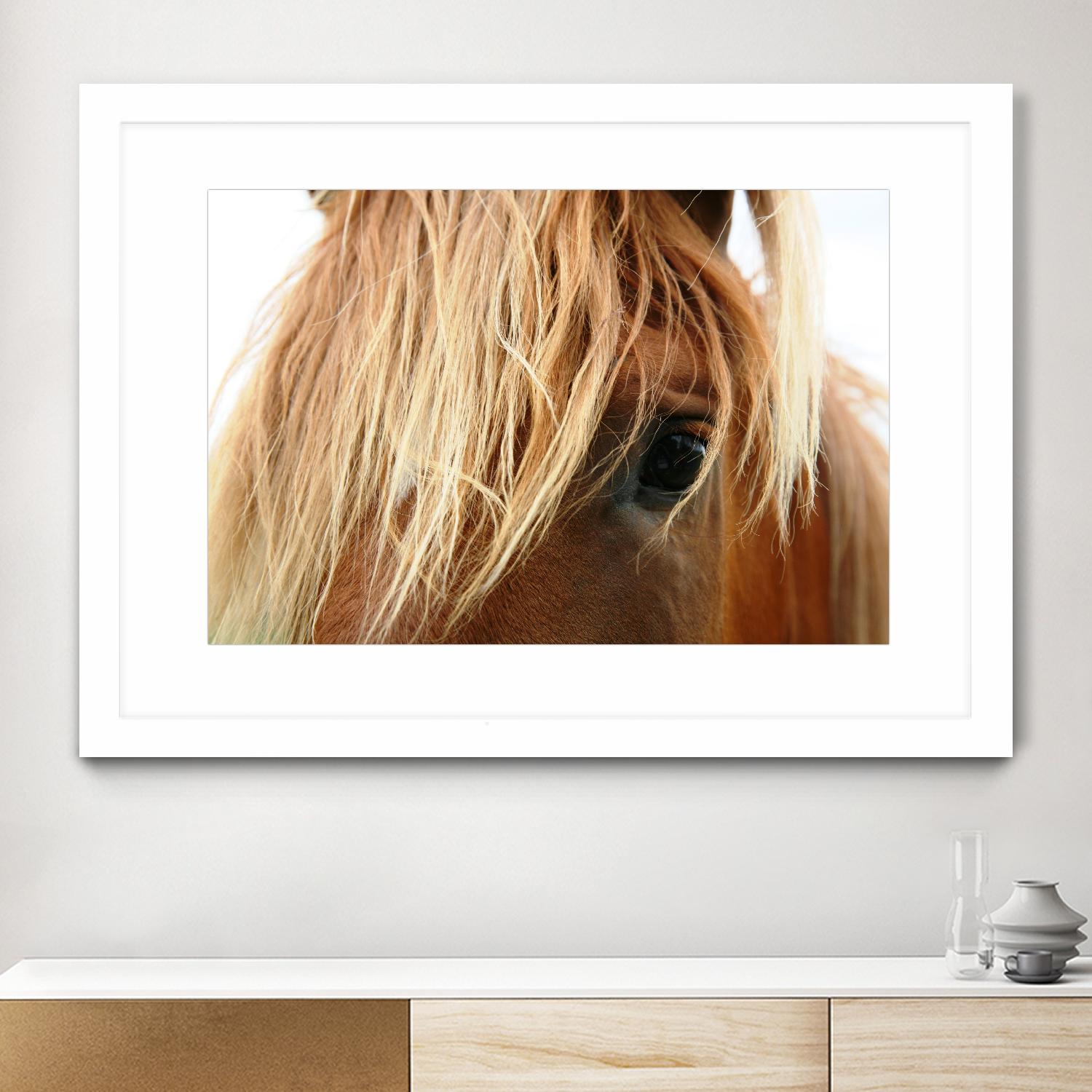 Horsey by Pexels on GIANT ART - white animals