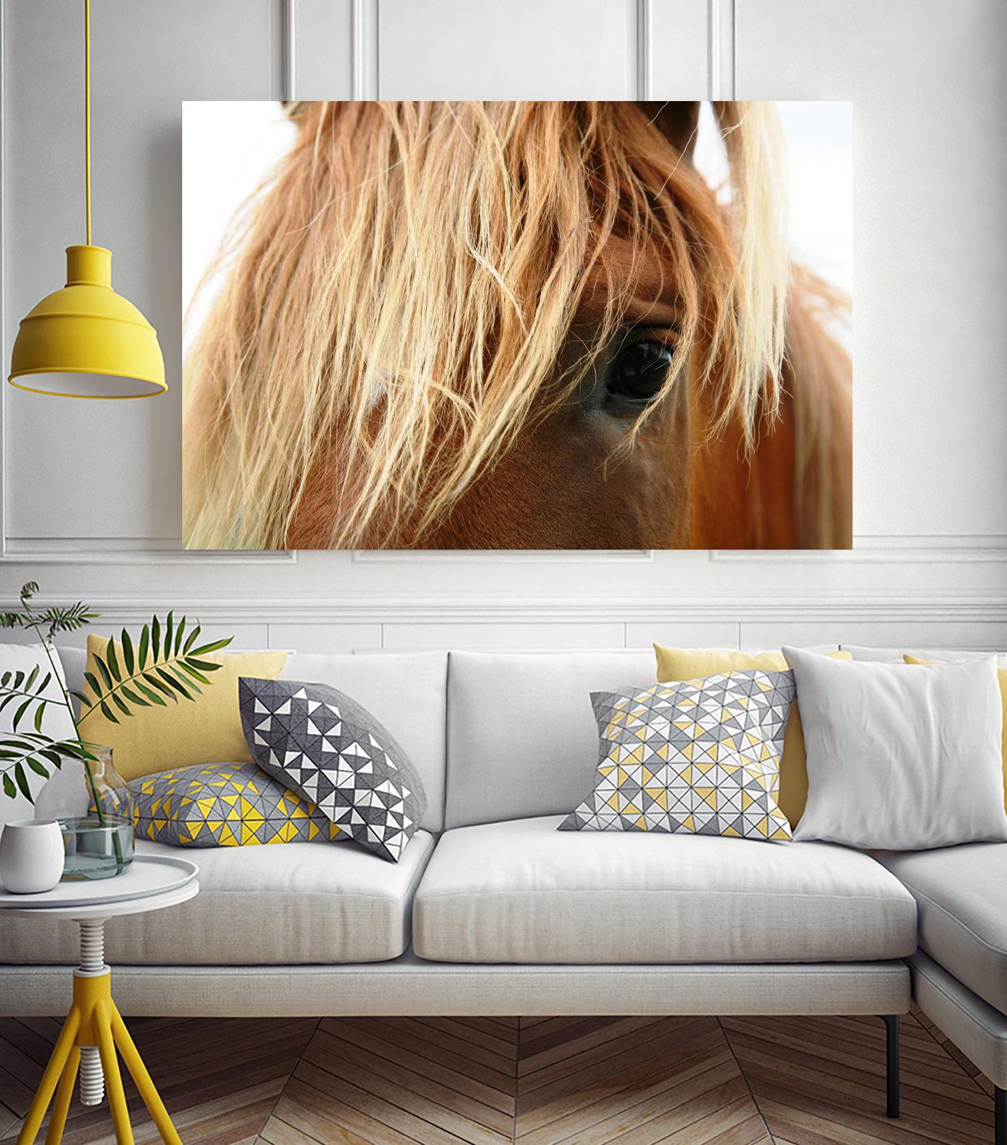 Horsey by Pexels on GIANT ART - white animals