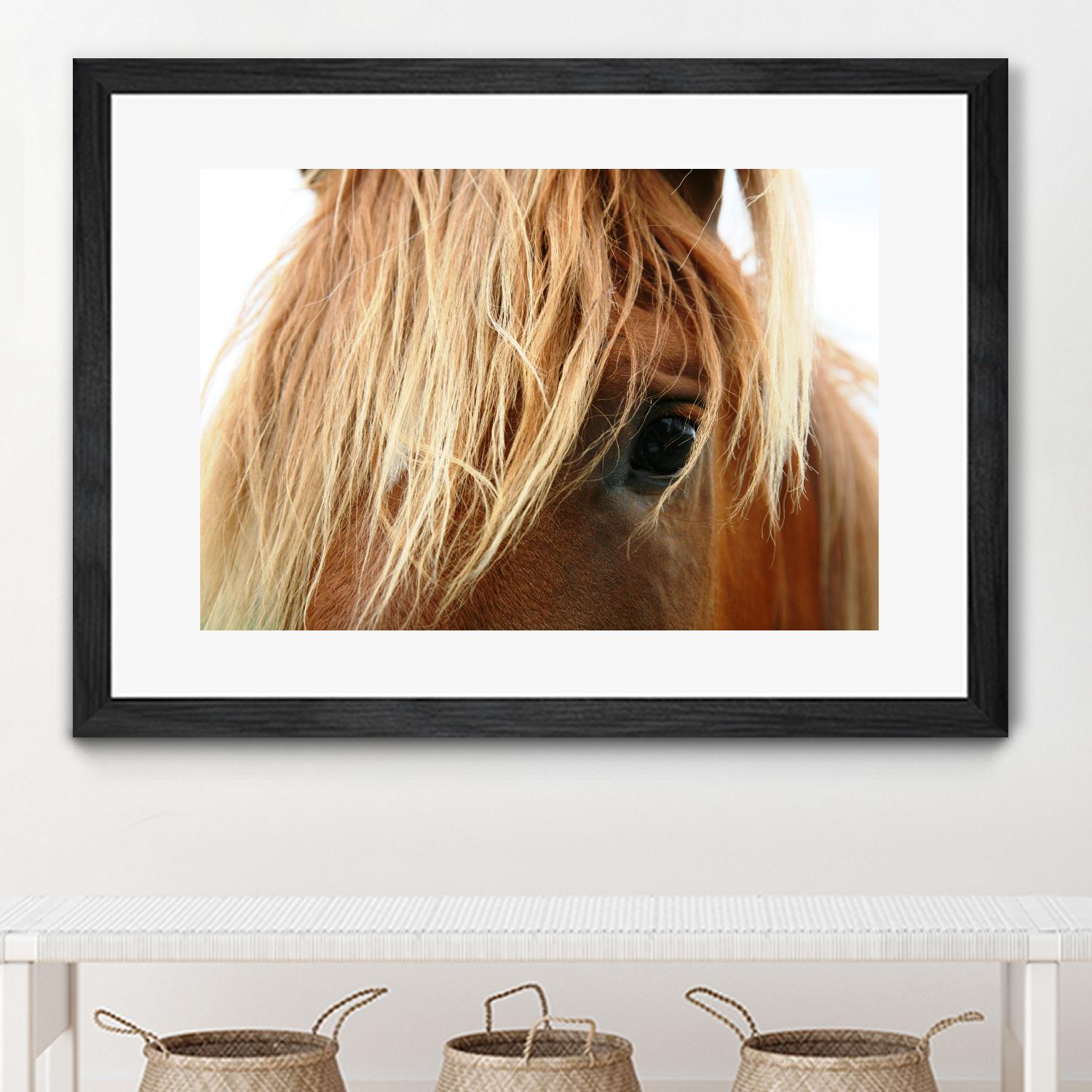 Horsey by Pexels on GIANT ART - white animals