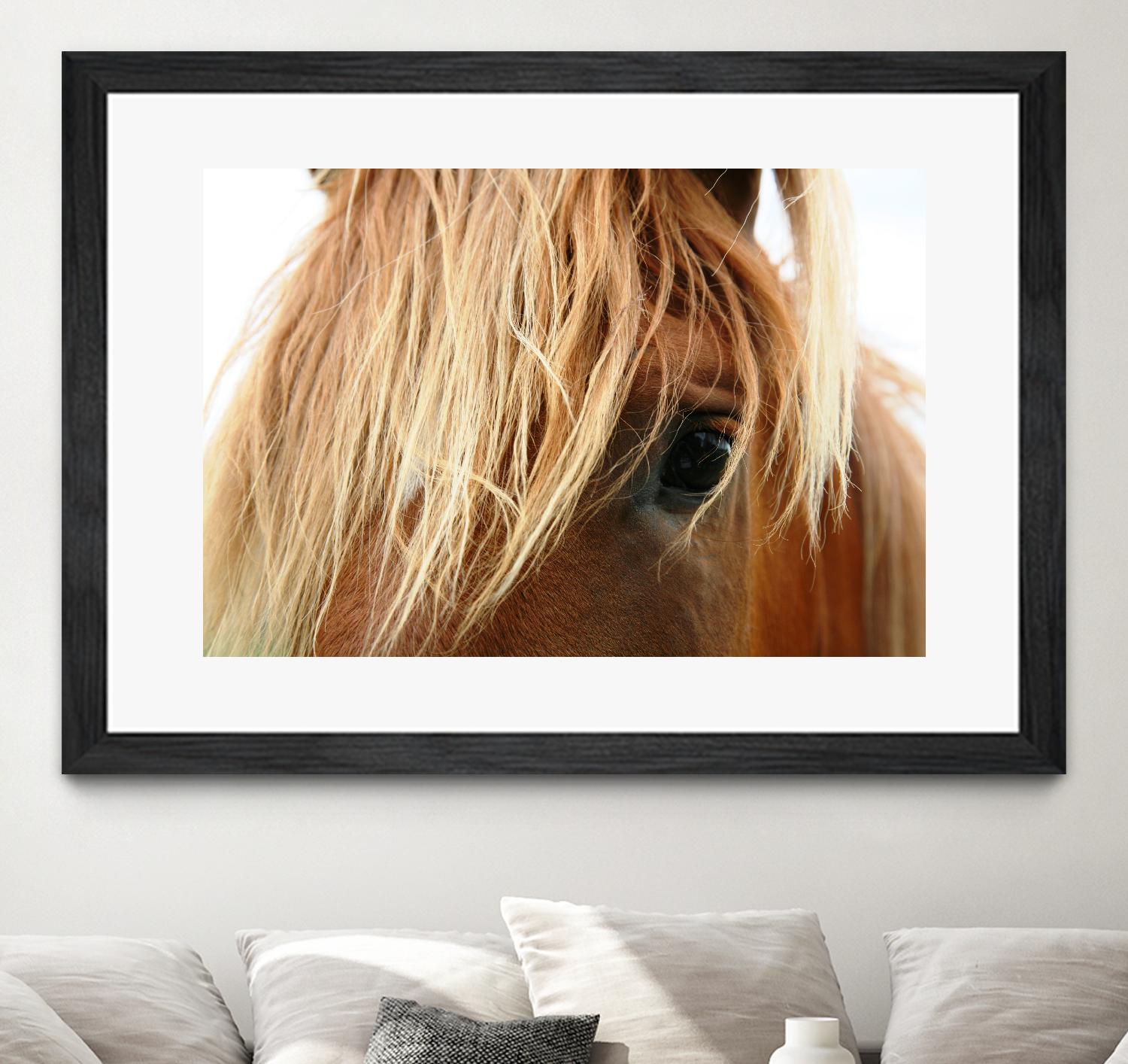 Horsey by Pexels on GIANT ART - white animals